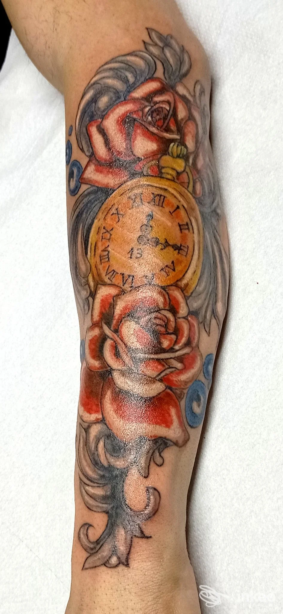 Avambraccio con tatuaggio di orologio dorato e ali circondato da rose rosse, tonalità calde e grigie. Non si riconosce alcun volto.