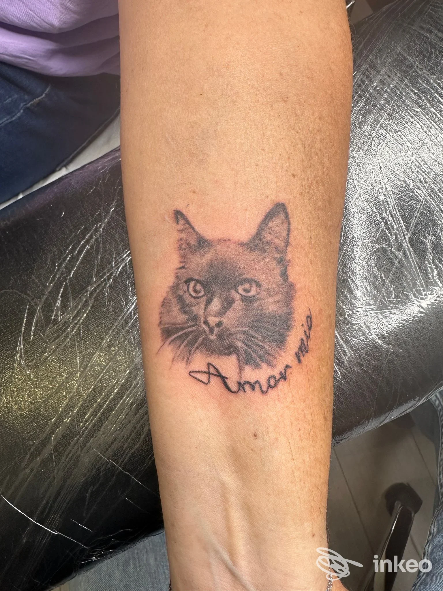 Tatuaggio in bianco e nero con muso di gatto e la scritta "Amor mio" sull'avambraccio, immagine fornita da Meteora Tattoo Studio, Calcinelli.