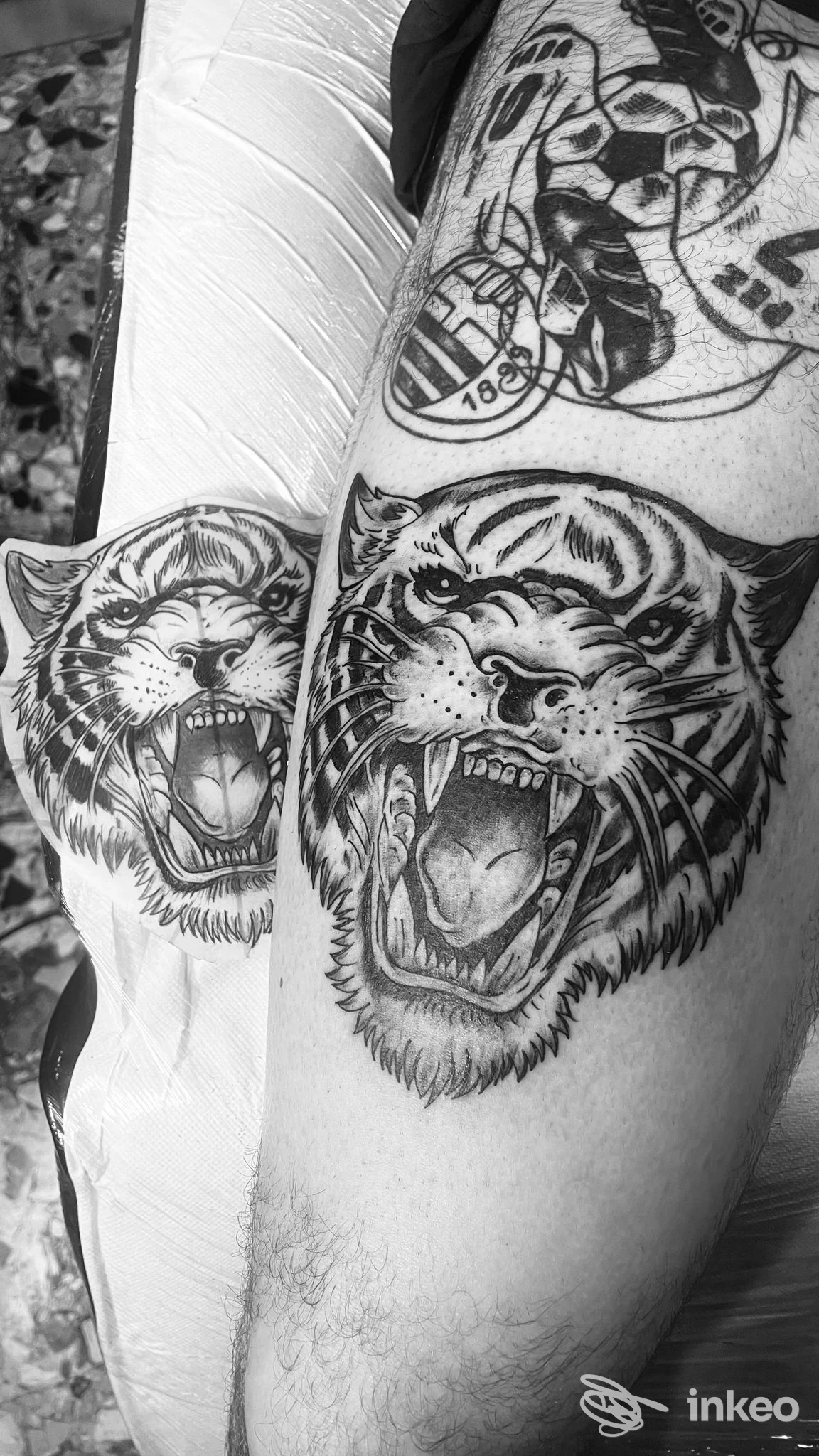 Primo piano di tatuaggi in bianco e nero con teste di tigre sulla coscia, foto dallo studio Old School Tattoo Family a Civitanova Marche.