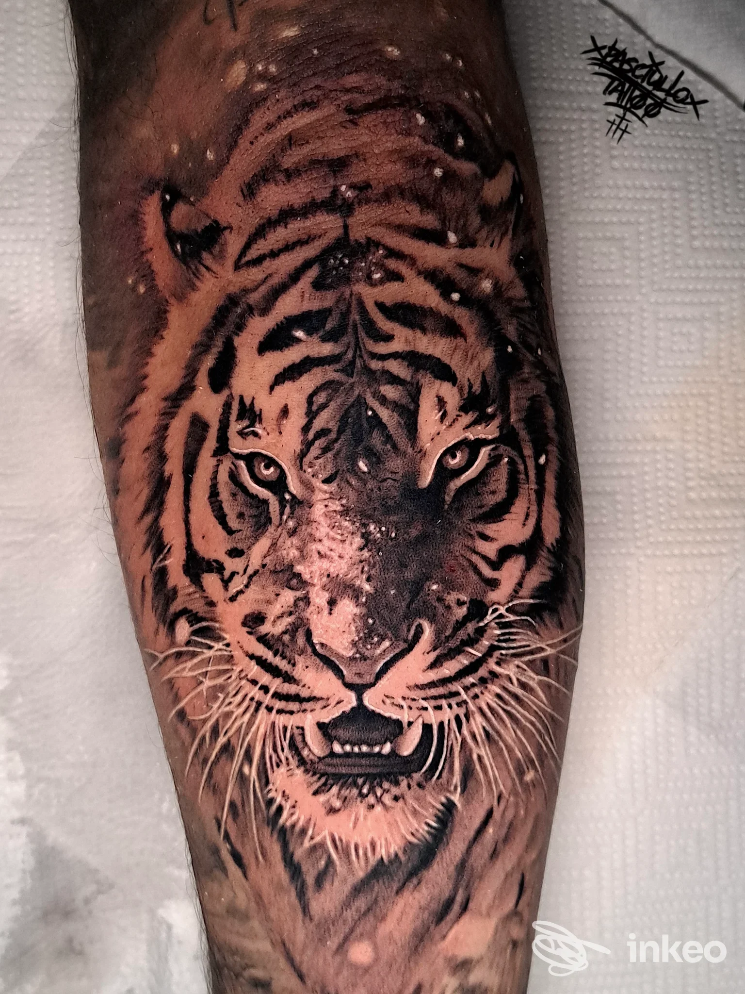 Dettagliato tatuaggio realistico della testa di una tigre sull'avambraccio, fotografato in studio. Pasciullo Tattoo Studio, Porto Recanati.
