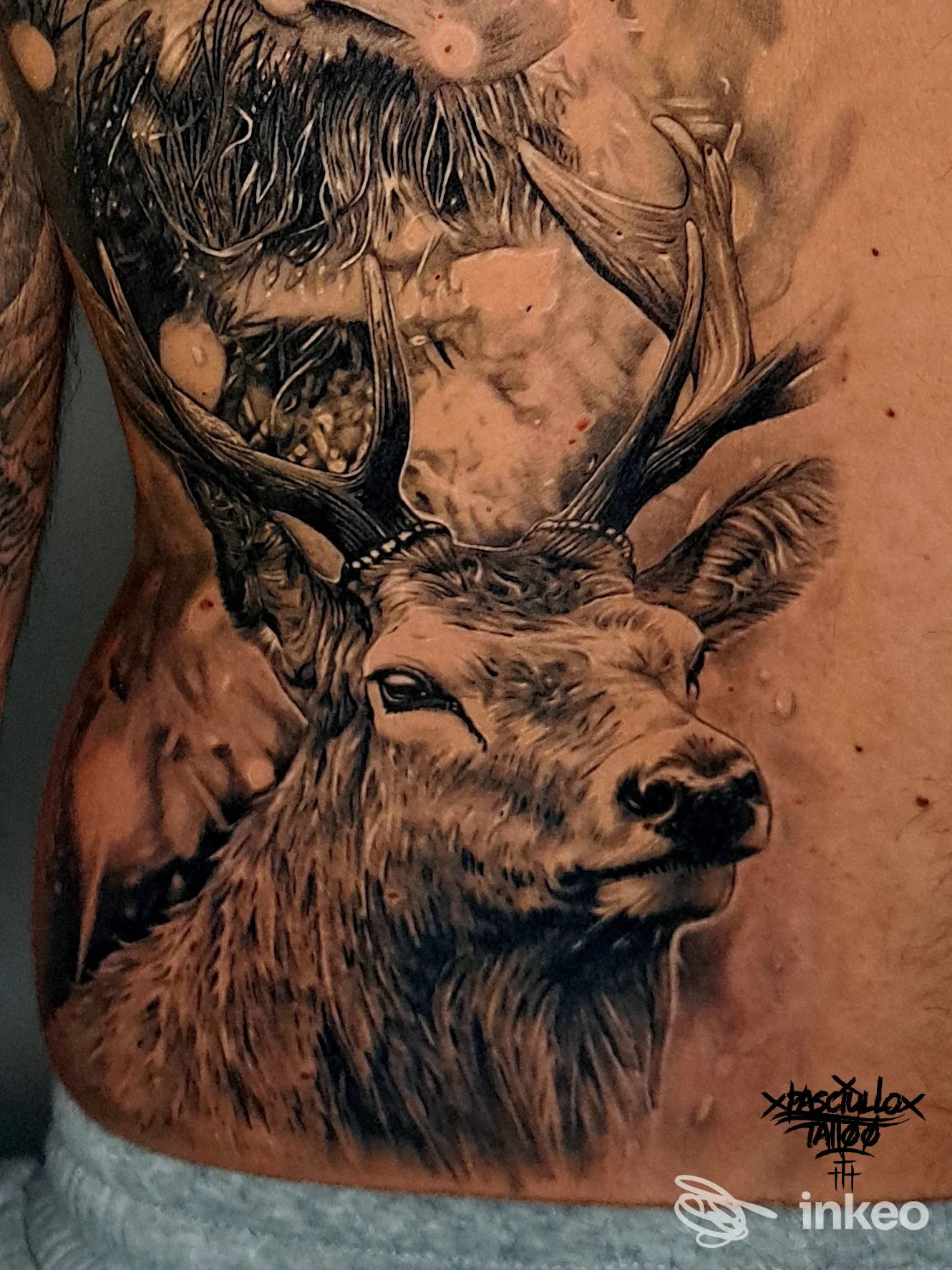 Grande tatuaggio realistico di un cervo sul fianco e addome, fotografia opera di Pasciullo Tattoo Studio a Porto Recanati.