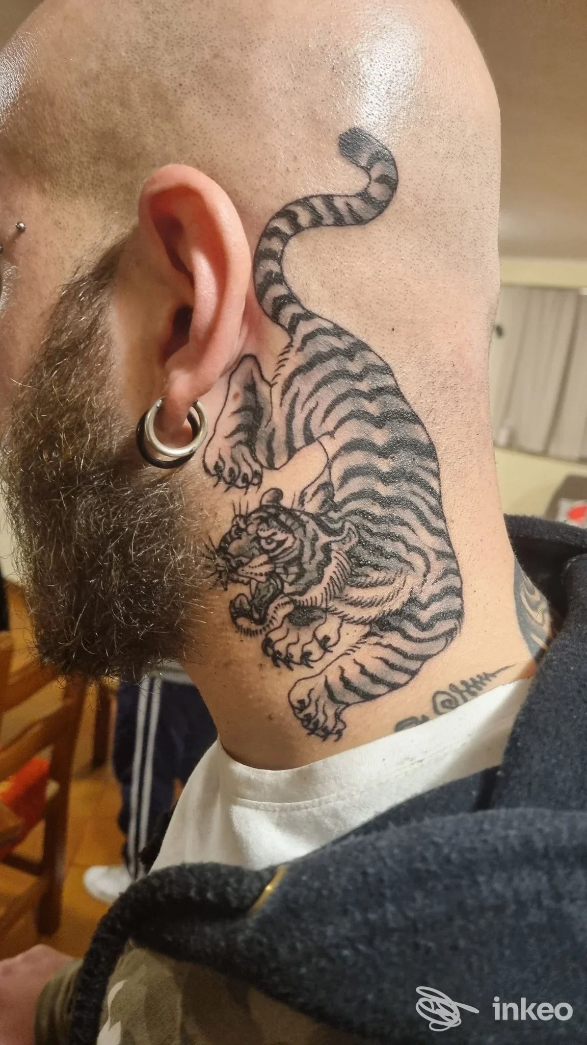 Tatuaggio a forma di tigre sulla parte laterale della testa e collo, foto fornita da Stanza 103 Tattoo Studio, Villa Pigna.