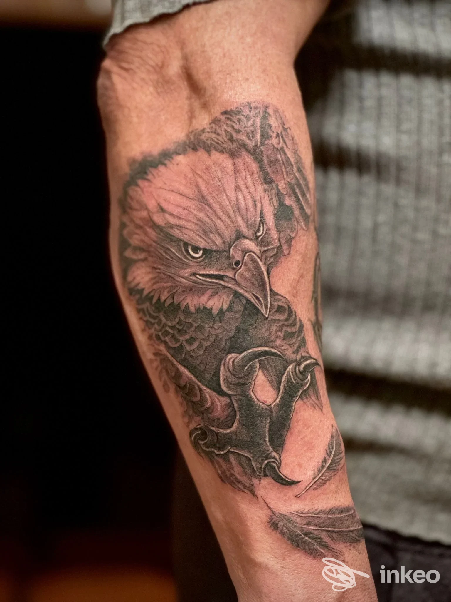 Tatuaggio a tema aquila sull'avambraccio, foto fornita da Starskcream Tattoo, Ancona.