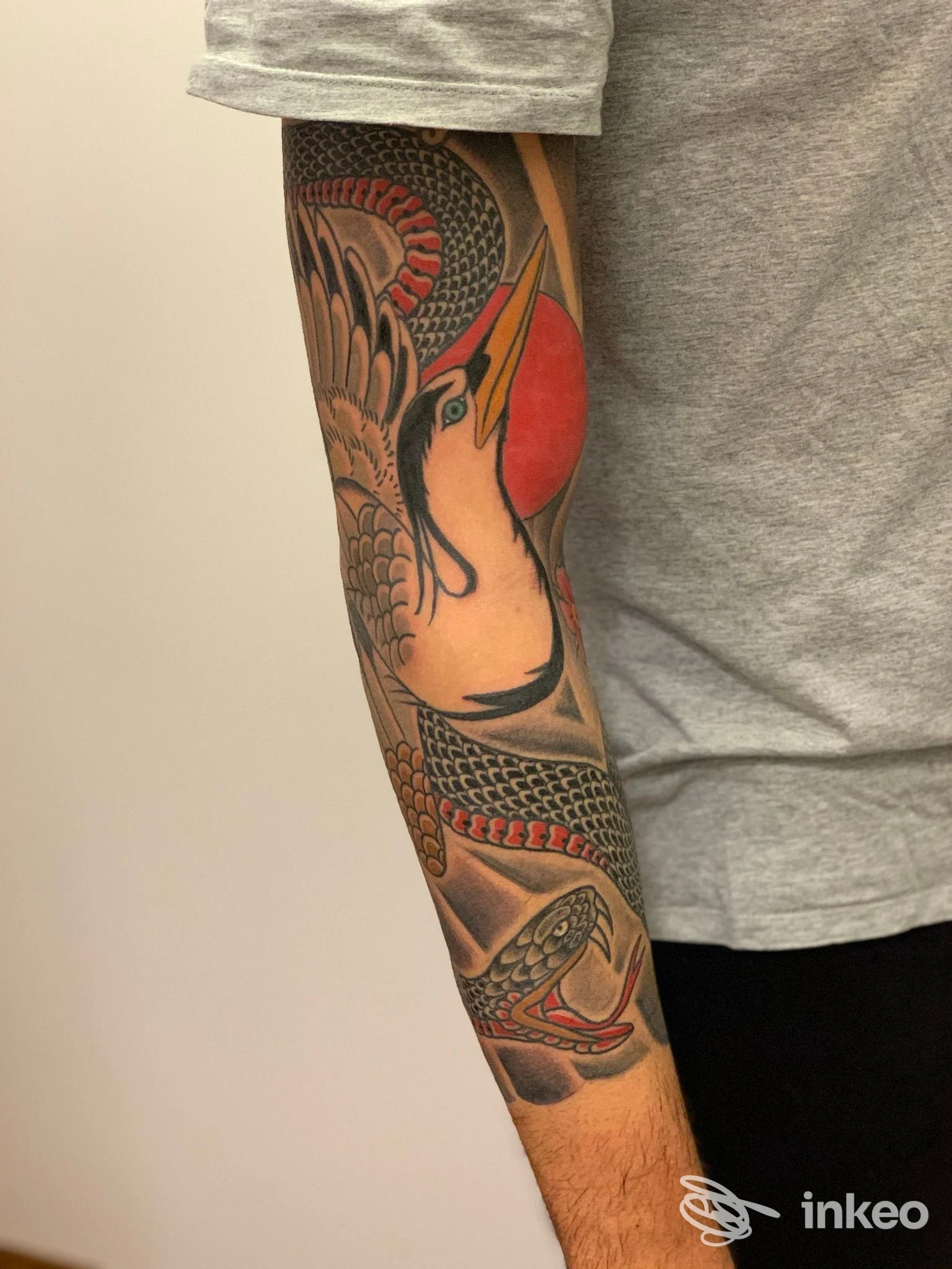 Avambraccio tatuato con uccello e serpente colore nero e rosso, foto fornita da Tattooing Room, Appignano.