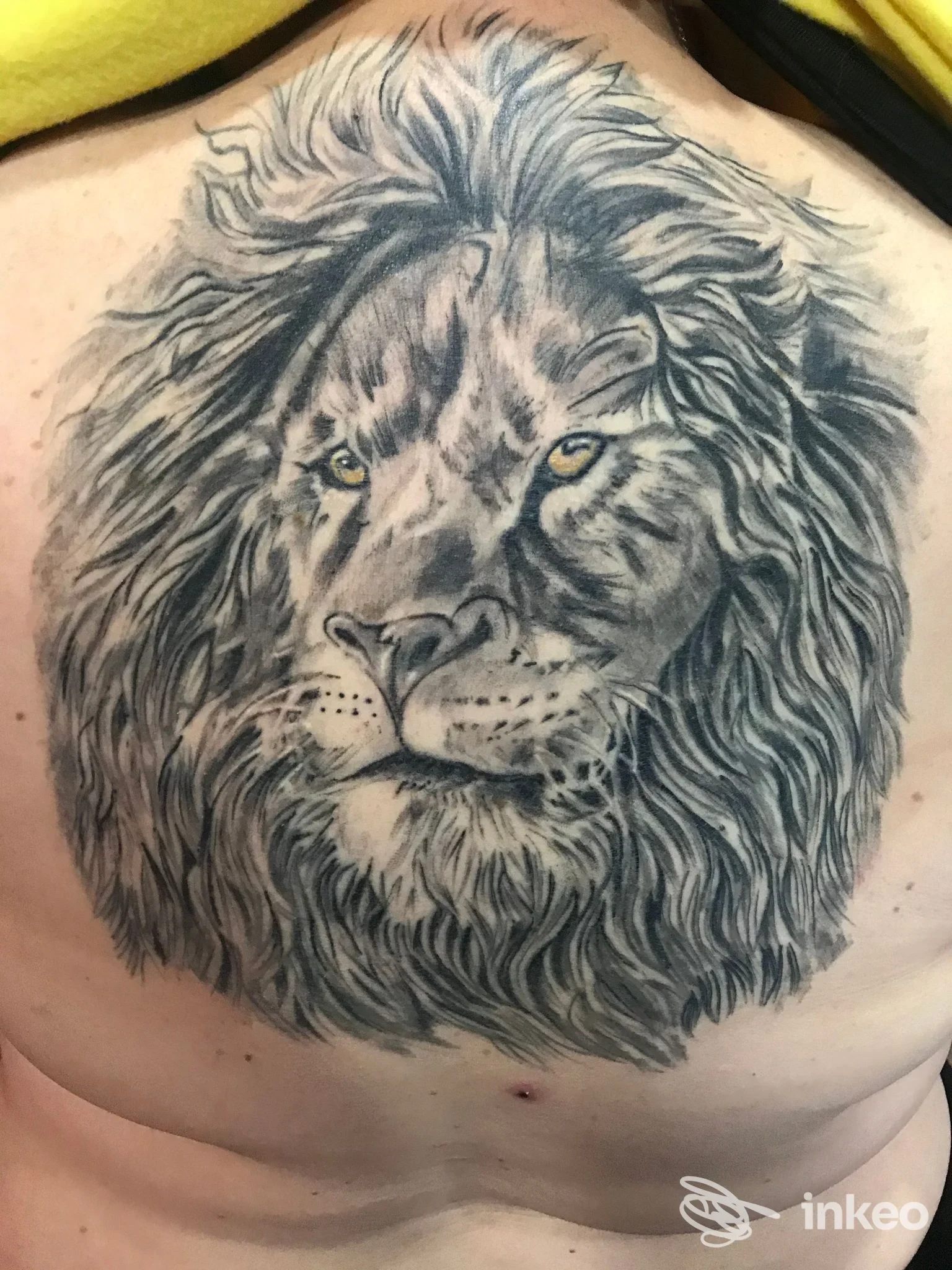 Tatuaggio realistico a inchiostro nero di un leone sulla parte superiore della schiena, eseguito da Tatuaggi & Arte a Porto Sant'Elpidio.