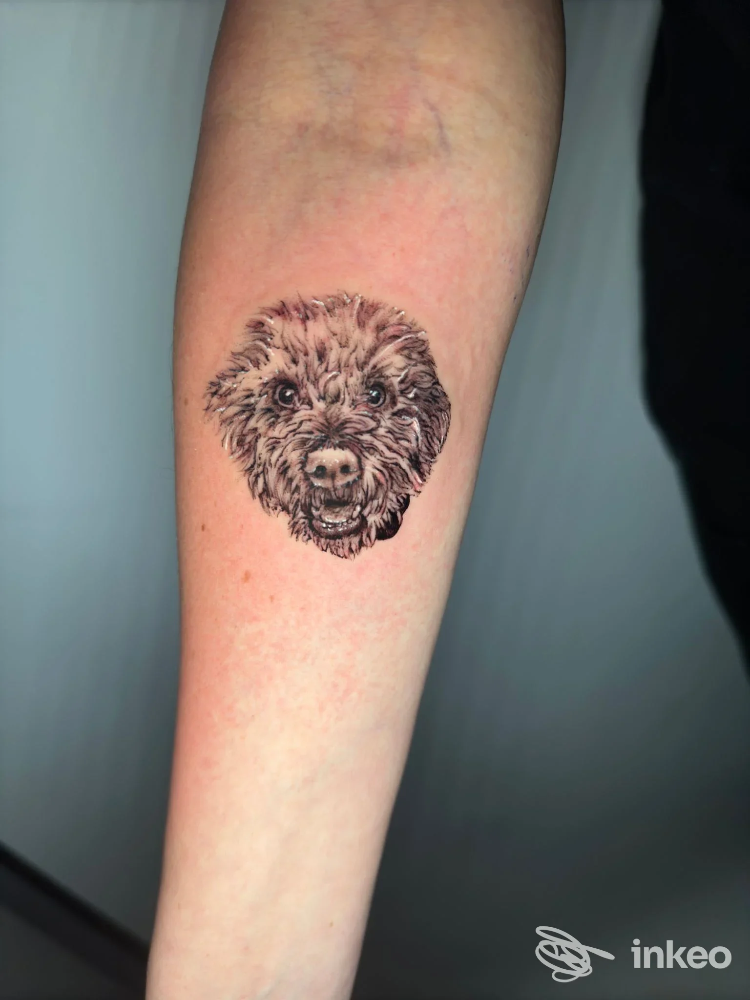 Tatuaggio a penna della testa di un animale su avambraccio fotografato dallo studio UnderSkinTattoo 162 a Fano.