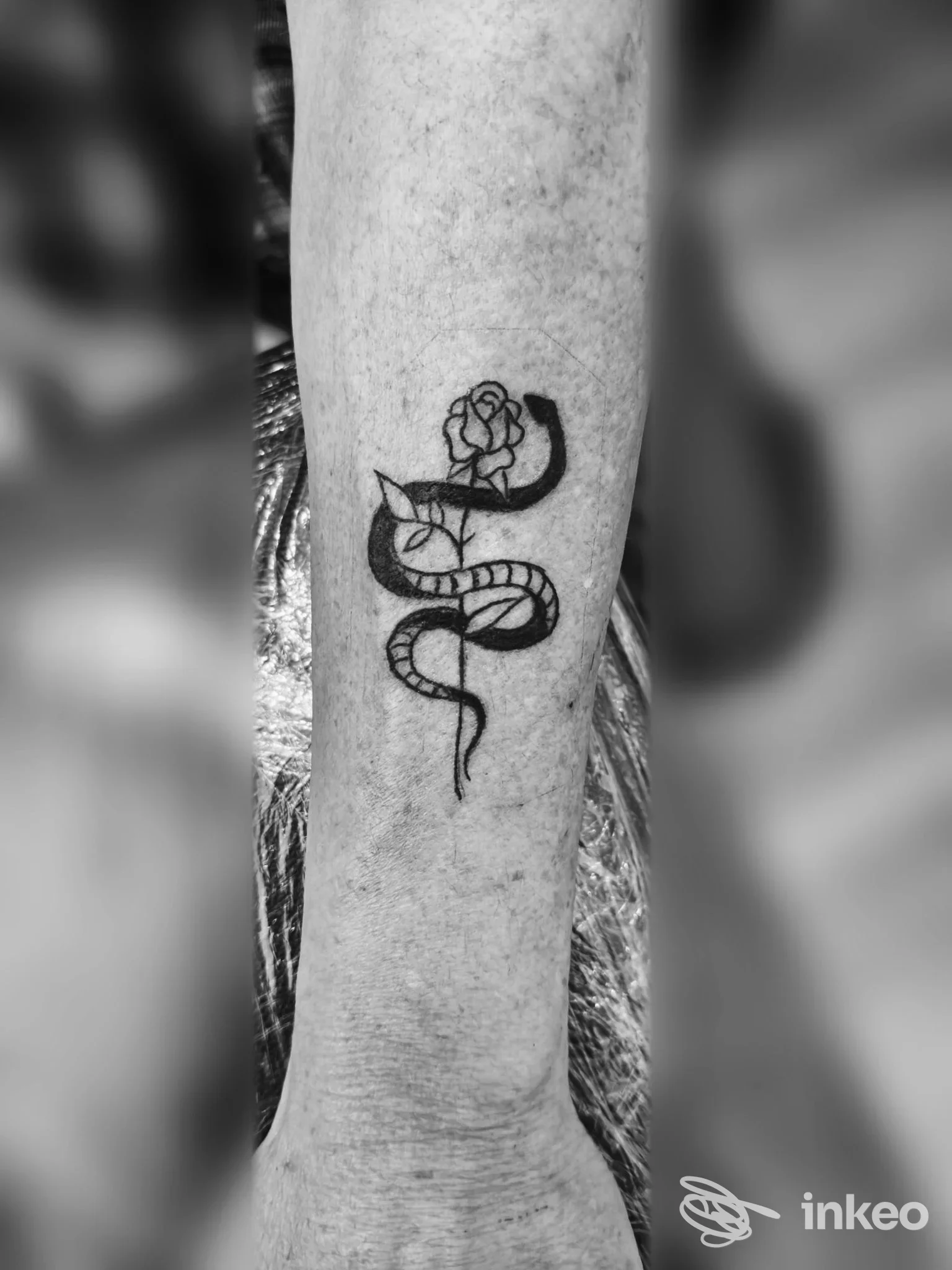 Tatuaggio nero a serpente e rosa sull'avambraccio, foto condivisa da Tatuaggi The Monkey studio a Porto San Giorgio.