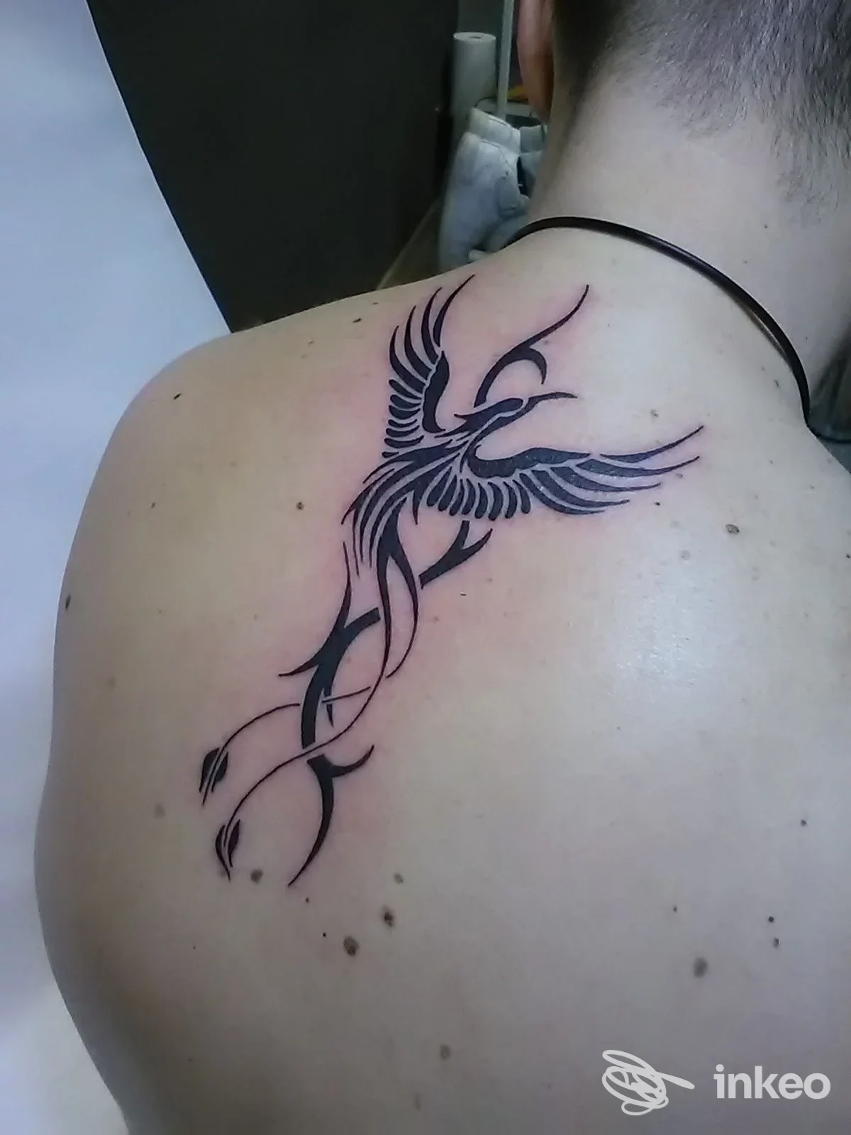 Tatuaggio nero stilizzato sulla spalla e parte alta della schiena. Venom Art Tattoo, Rapagnano.