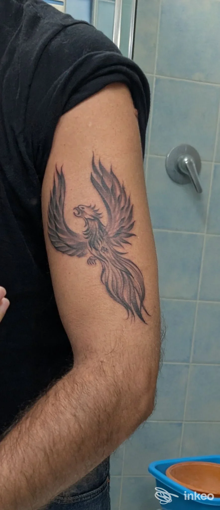 Tatuaggio in nero di una fenice sull'avambraccio superiore di un uomo, realizzato presso WHITE ROSE TATTOO a Jesi.
