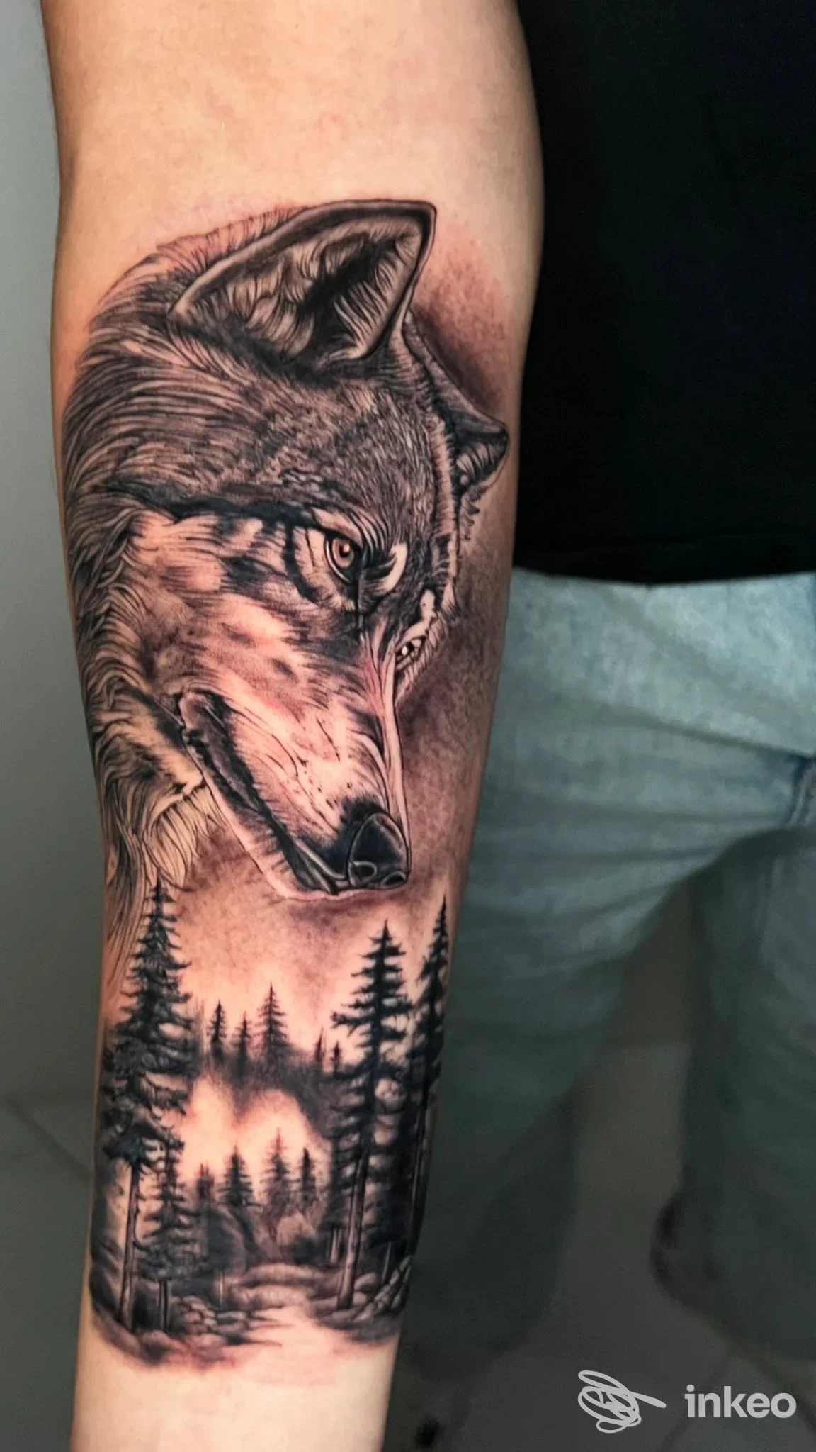 Tattoo realistico di un lupo sull’avambraccio, con foreste sullo sfondo, realizzato sulla pelle.
