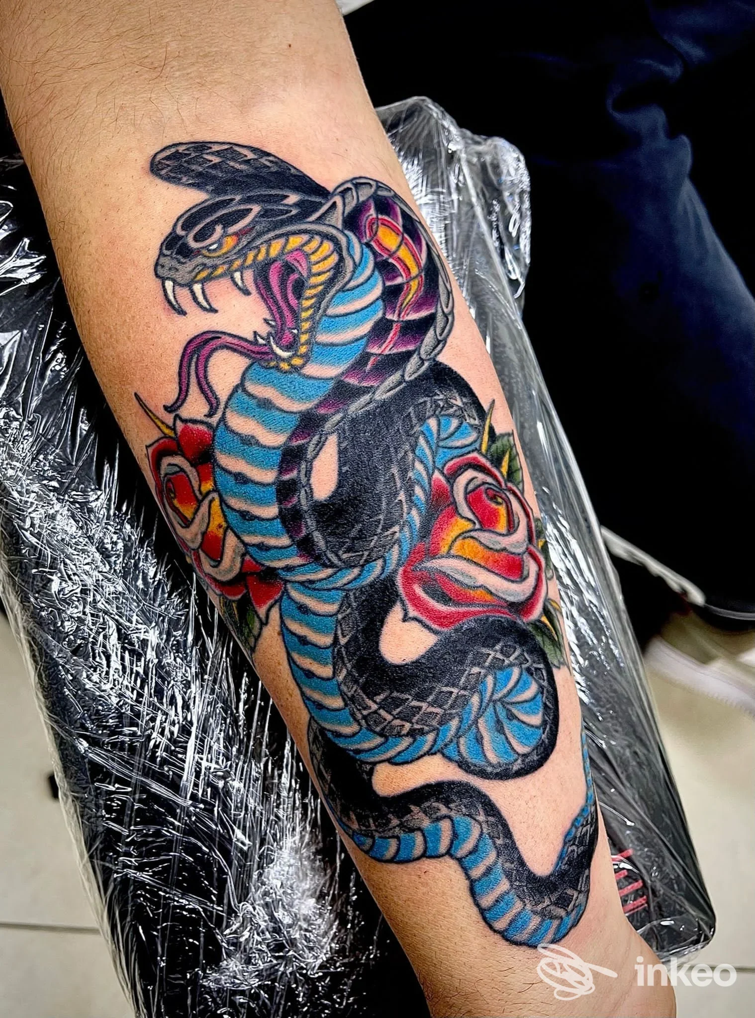 Tatuaggio a colori di un serpente avvolto a cui sono abbinate rose, realizzato su avambraccio. Lucky Owl Tattoo di Gabriele Cassano, Bojano.