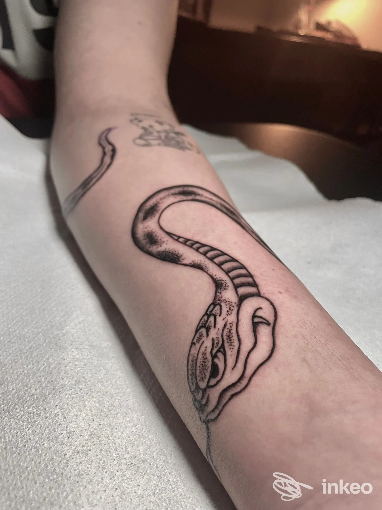 Primo piano di un tatuaggio nero a forma sinuosa su avambraccio, Sangue e Lacrime Tattoo, Campomarino.