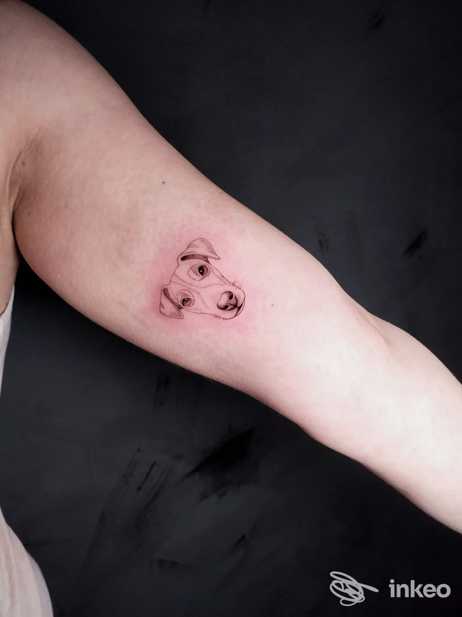 Tatuaggio minimalista del volto di un cane sull'interno del braccio, realizzato da Skink tattoo a Campobasso.