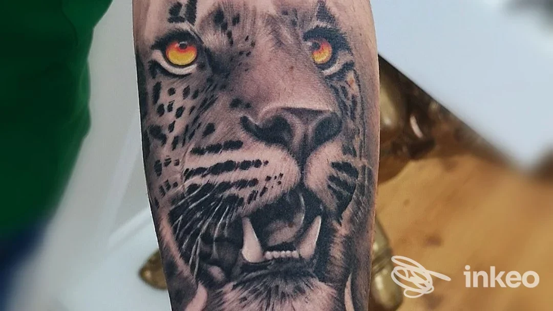 Primo piano di un tatuaggio realistico di felino sull'avambraccio, realizzato presso Alex Fascio NOVUS tattoo studio a Torino.