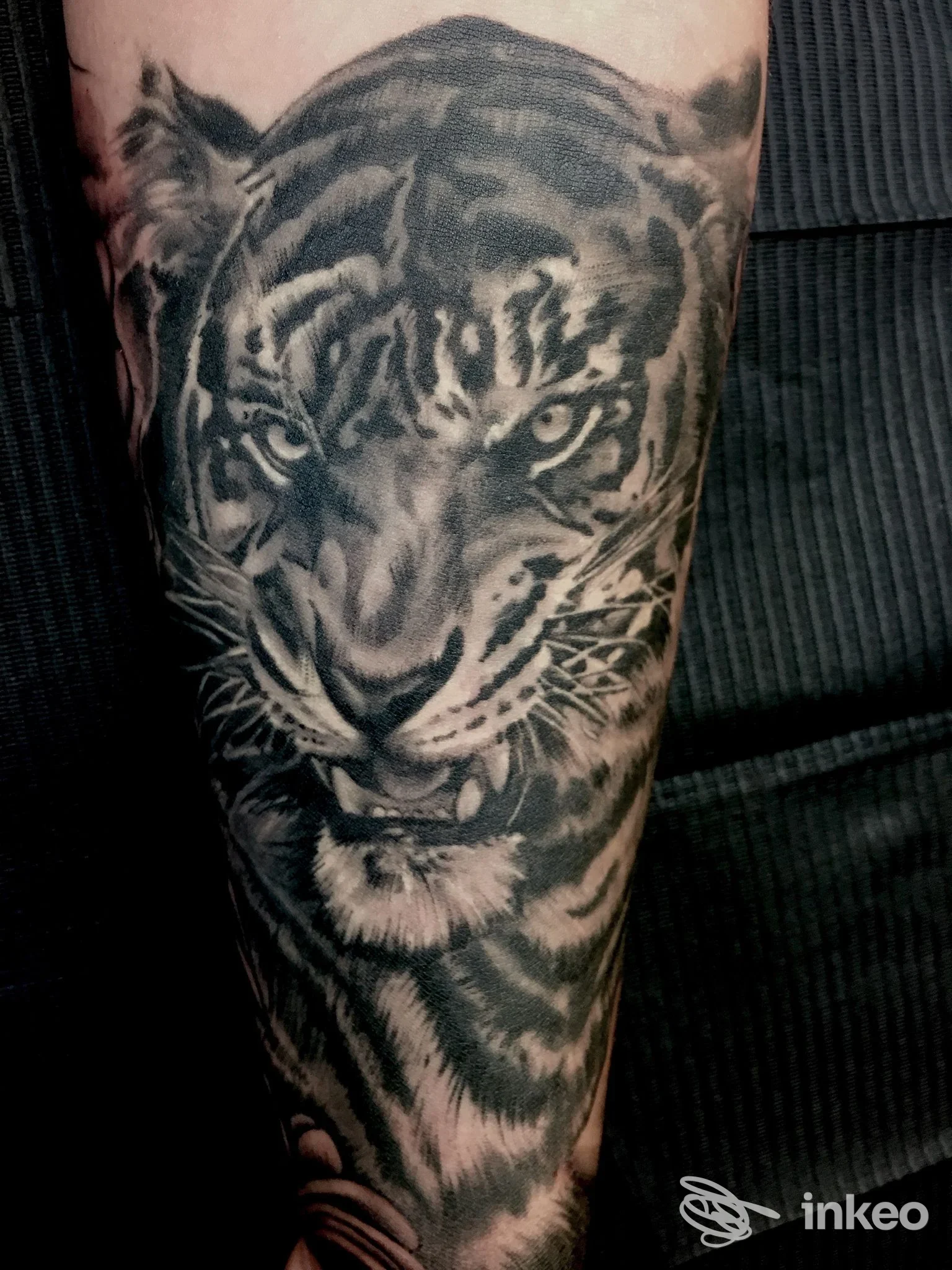 Tatuaggio realistico in bianco e nero di una testa di tigre sull'avambraccio, foto fornite da Ars Tattoo, Moncalieri.