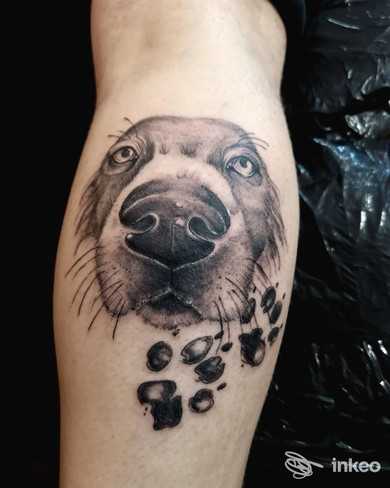 Tatuaggio realistico di muso di cane con impronte sul polpaccio, realizzato da Be Art tattoo a Bistagno.
