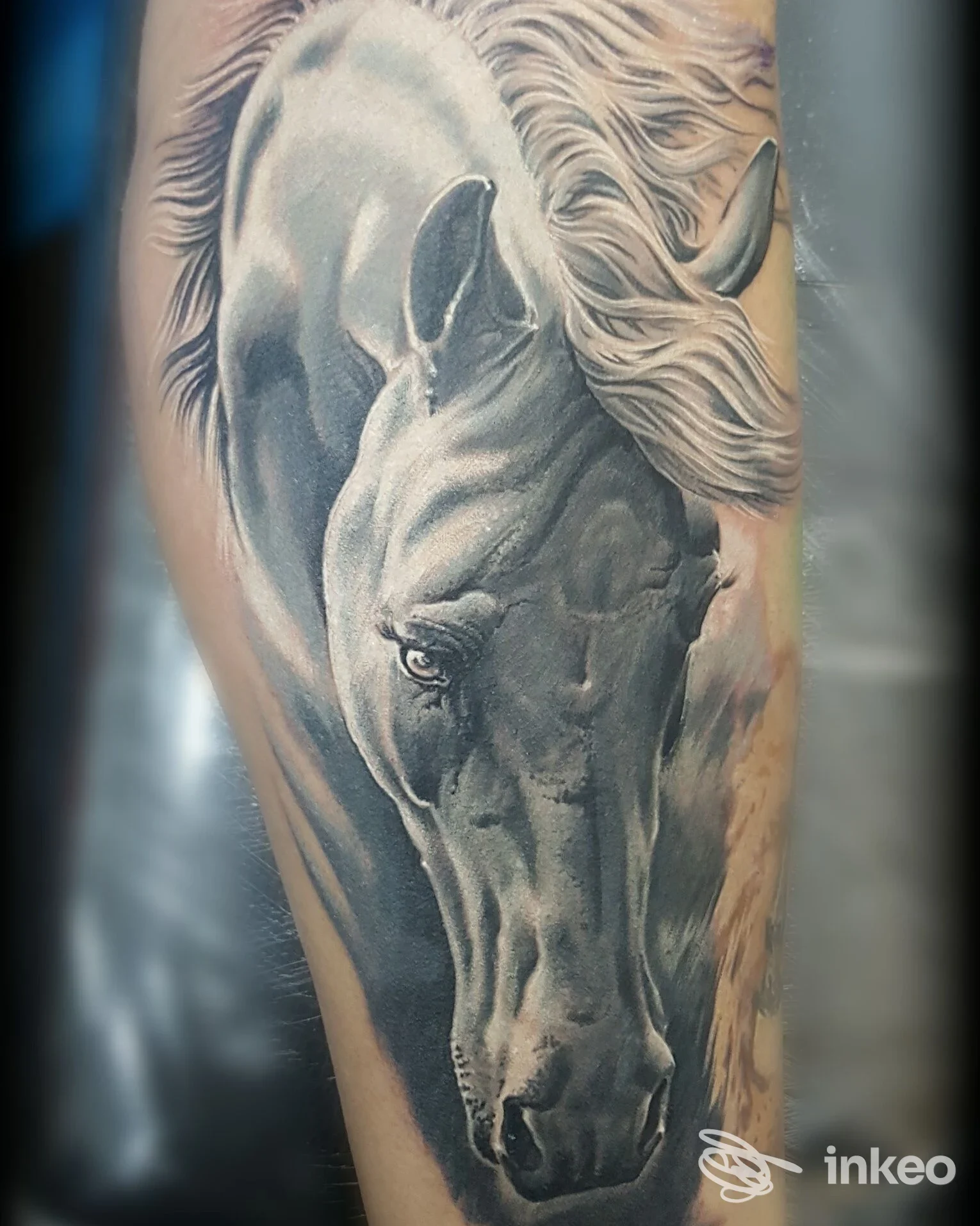 Grande tatuaggio realistico in bianco e nero della testa di un cavallo sul braccio, proposto da Black Art Tattoo, Torino.