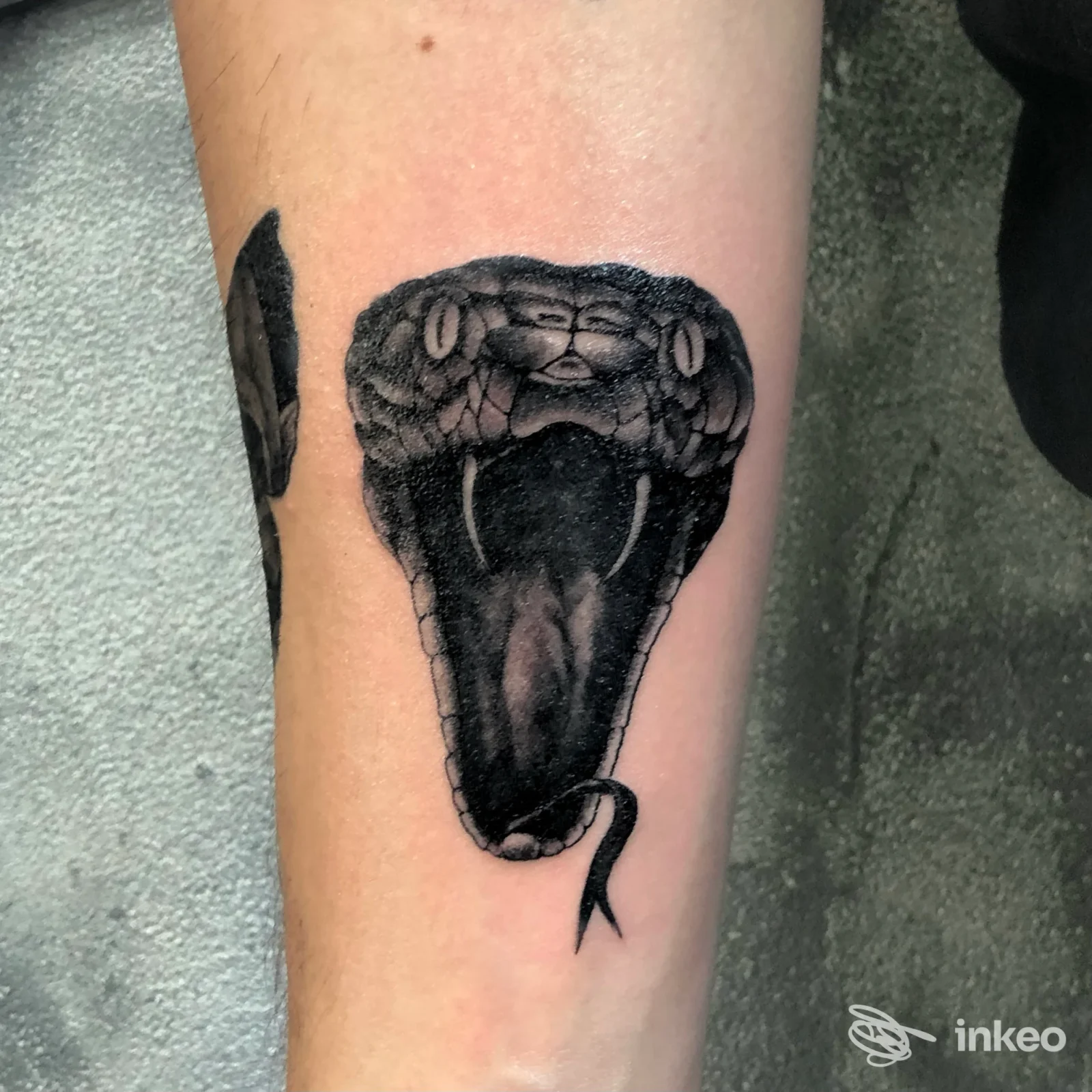 Tatuaggio testa di serpente nera su avambraccio, realizzato da Blackout Tattoo a Chivasso.