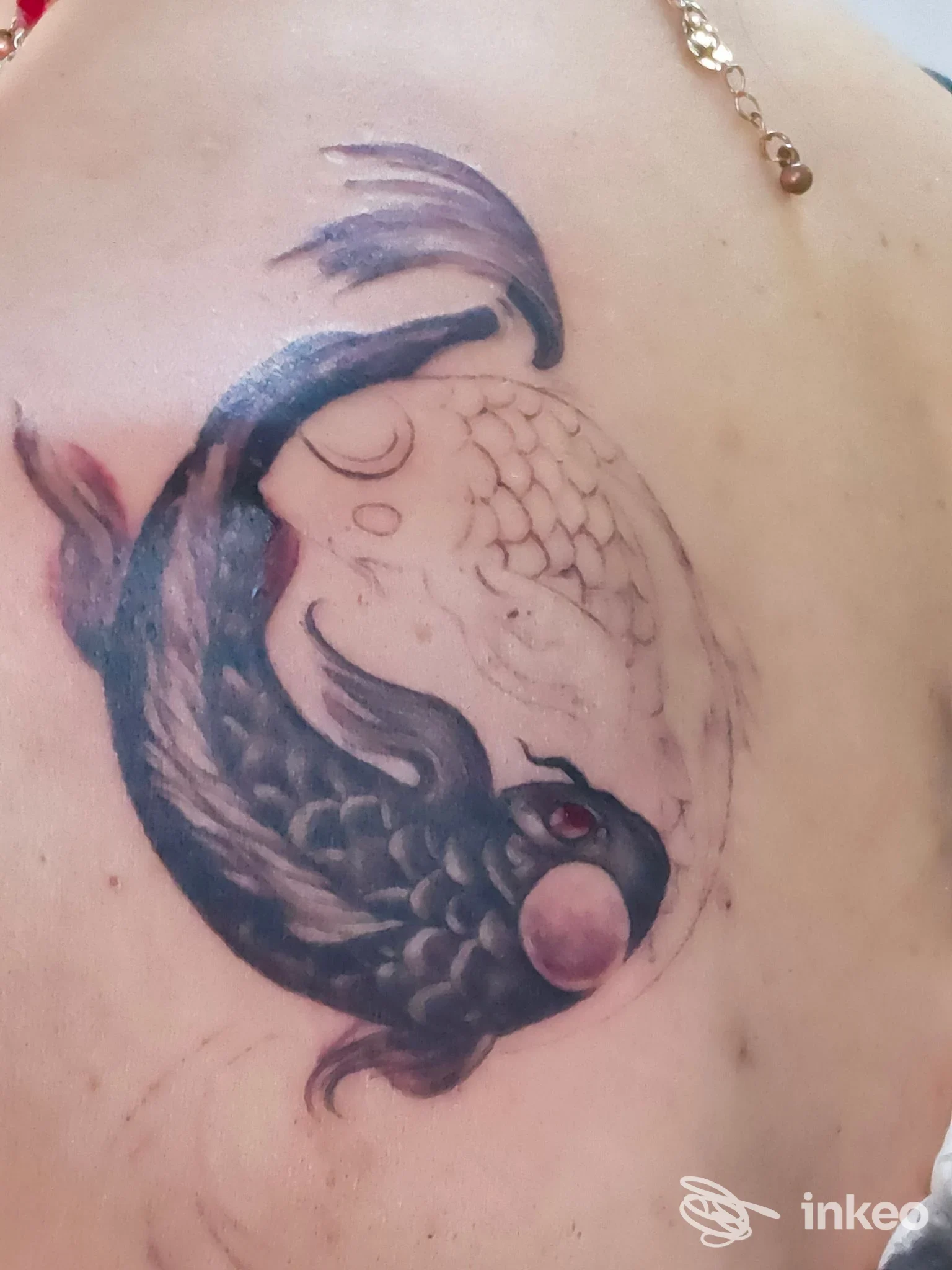 Tatuaggio di due carpe in stile yin-yang sulla spalla/alta schiena, foto caricata da Body Hard Tattoo, Torino.