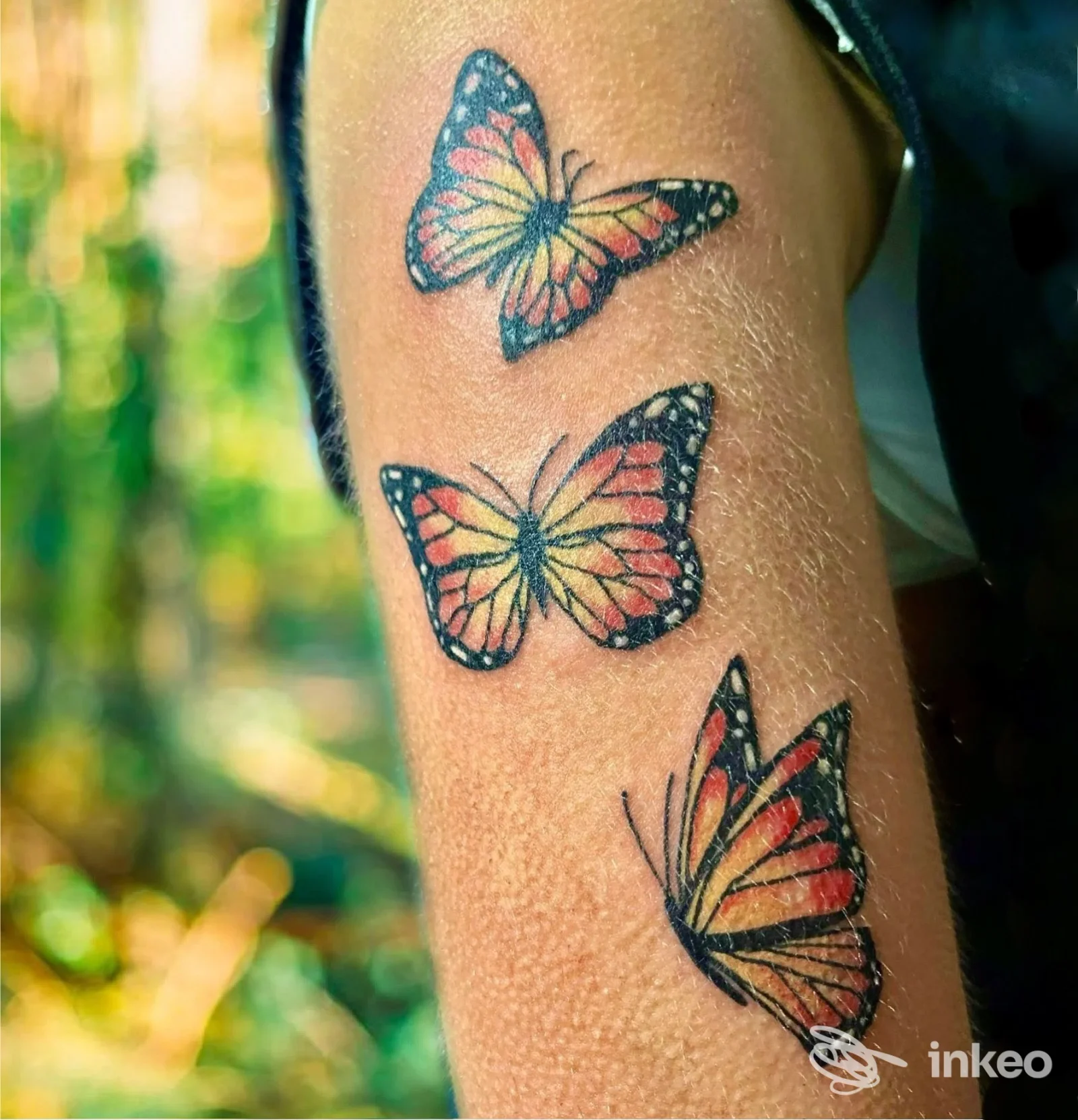 Tre tatuaggi a forma di farfalla colorati sul lato esterno dell'avambraccio, foto per ClubHouse tattoo studio a Leini.