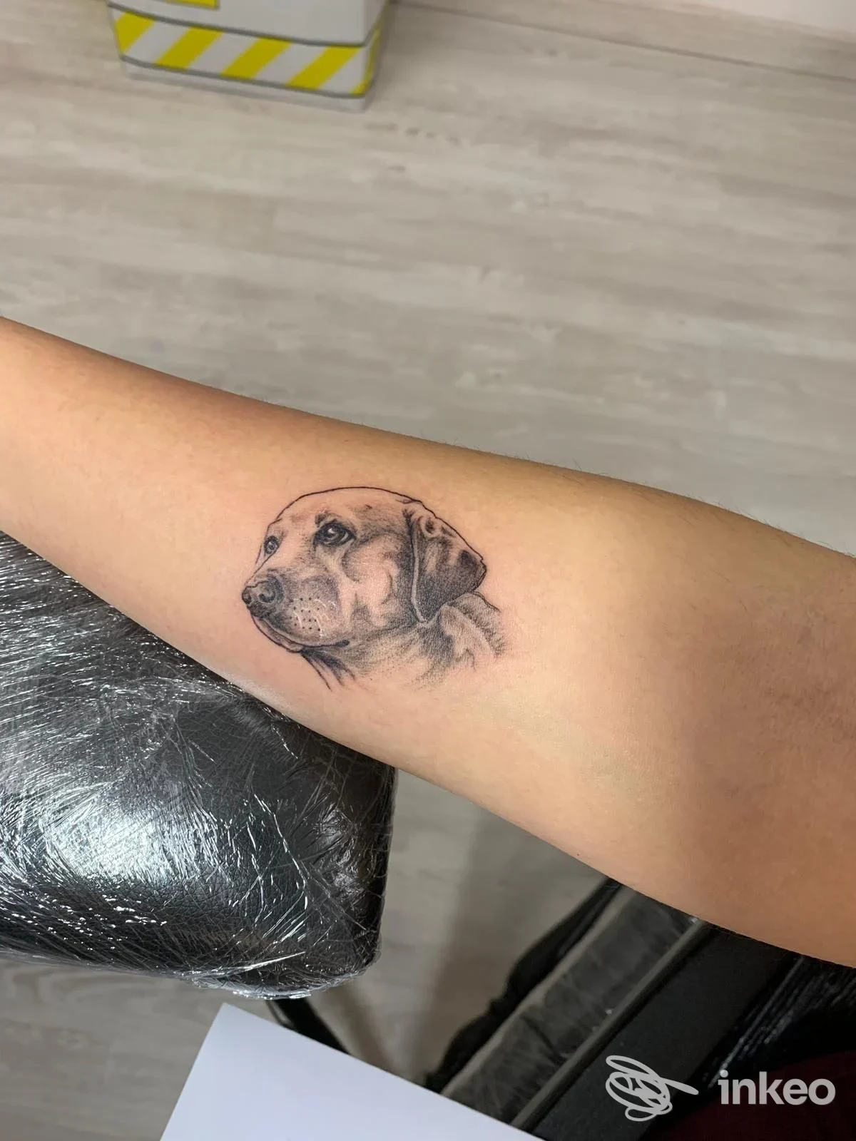 Tatuaggio ritratto in bianco e nero di un cane sull'avambraccio, scattato presso DarkAngel Ink - Tattoo Studio a Chivasso.