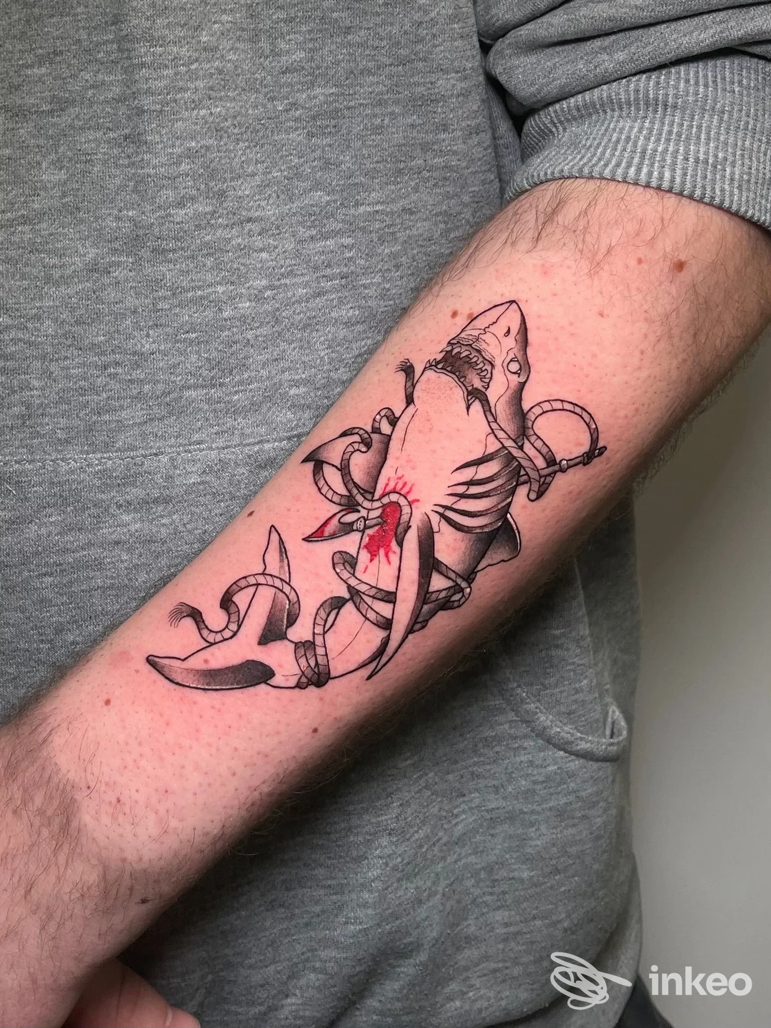 Tatuaggio su avambraccio con squalo stilizzato e nastri, foto fornita da Fishbone Tattoo studio, Chieri.