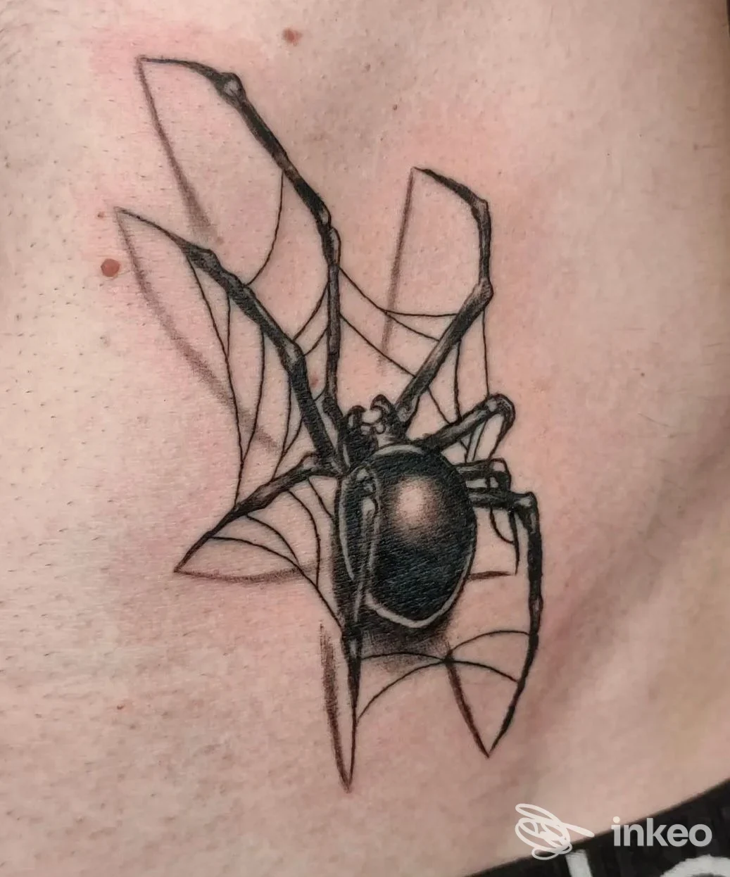 Tatuaggio di un ragno nero su una ragnatela sul torace, realizzato da Felvo Tattoo Studio a Torino.