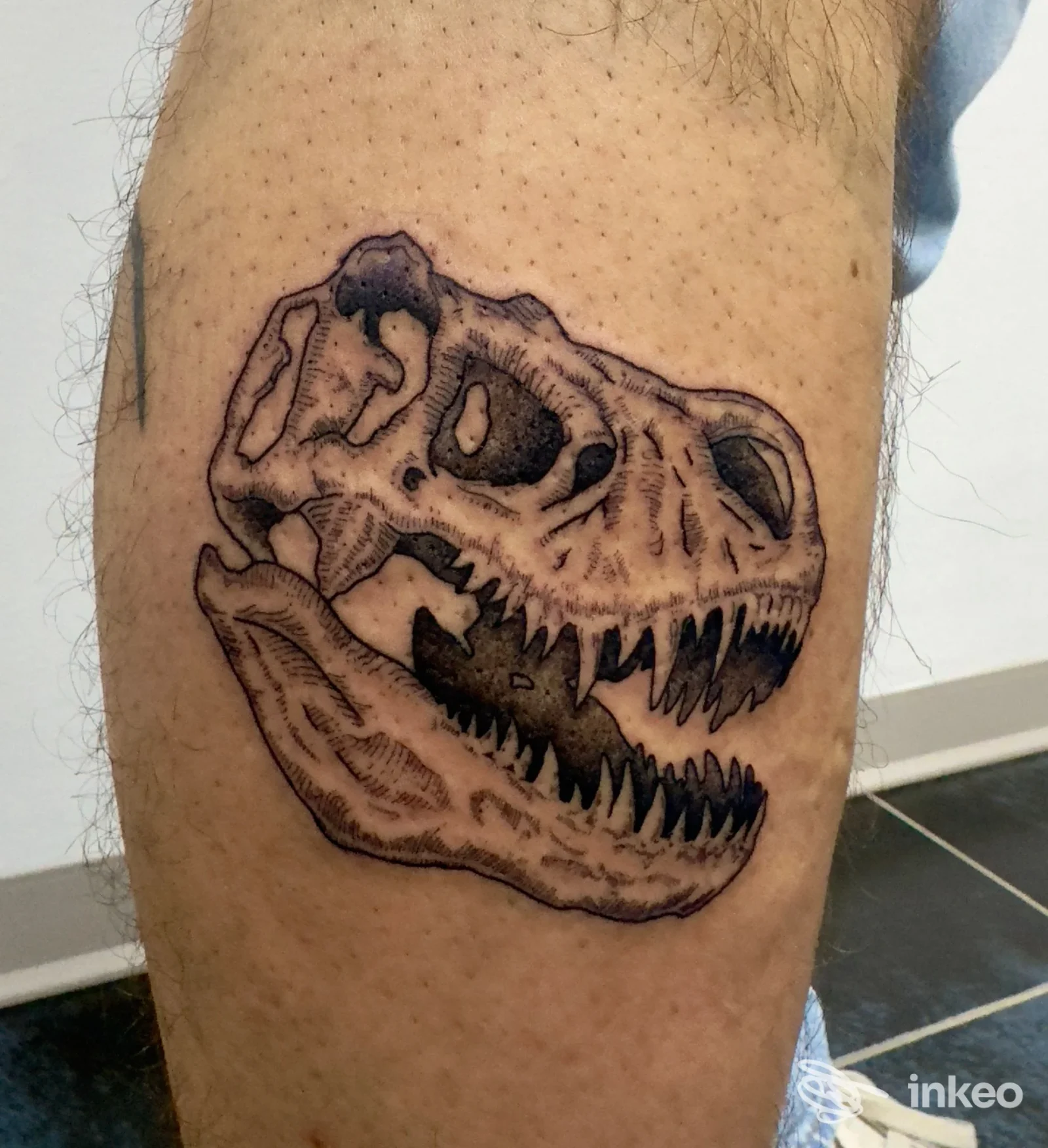 Tatuaggio cranio di dinosauro sul polpaccio, Felvo Tattoo Studio, Torino.