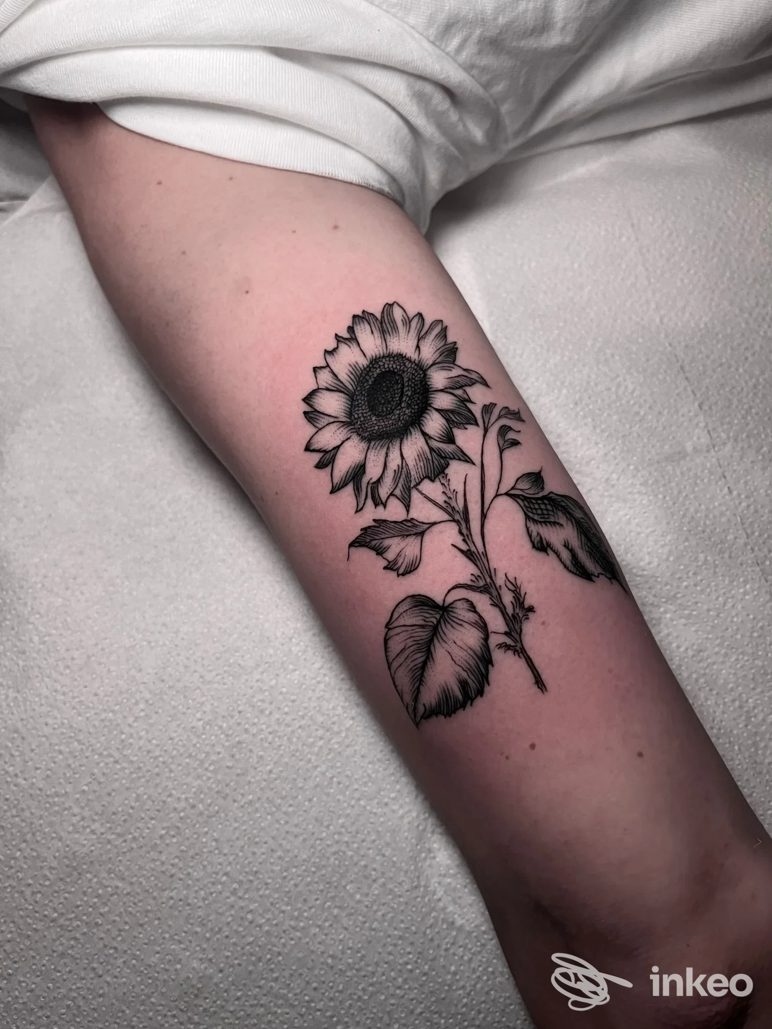 Girasole in nero su pelle, tatuaggio visibile sull'avambraccio, disegno lineare con stelo e foglie.