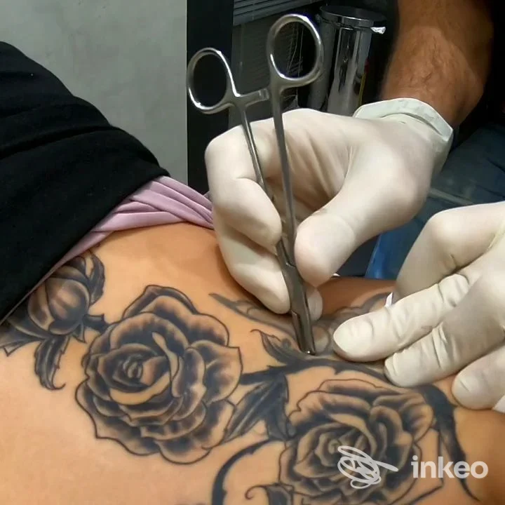 Dettaglio di tatuaggio black&grey a rose sull'addome con operatore con guanti durante la procedura, Inferno Ink Tattoo & Piercing, Galliate.