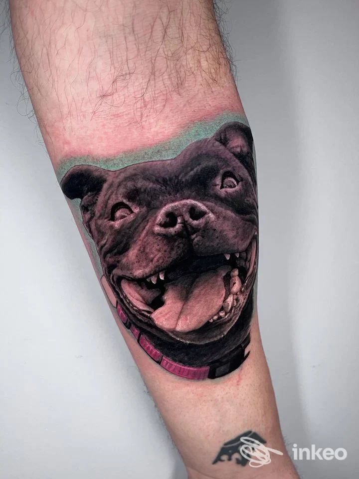 Ritratto realistico di cane tatuato sull'avambraccio, lavoro di Il Camaleonte Tatoo & Piercing a Torino.