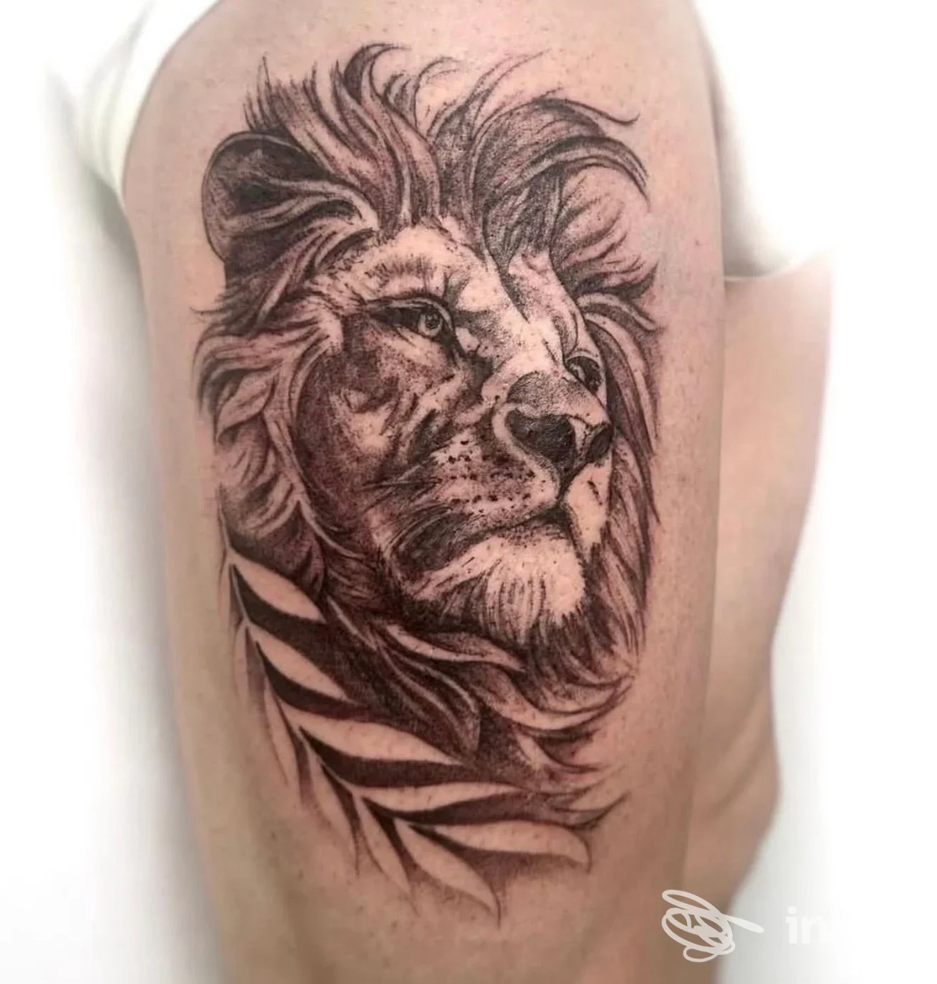Tatuaggio realistico di leone in nero/grigio sul braccio superiore, foto fornita da Inkredibile Tattoo Studio, Arona.