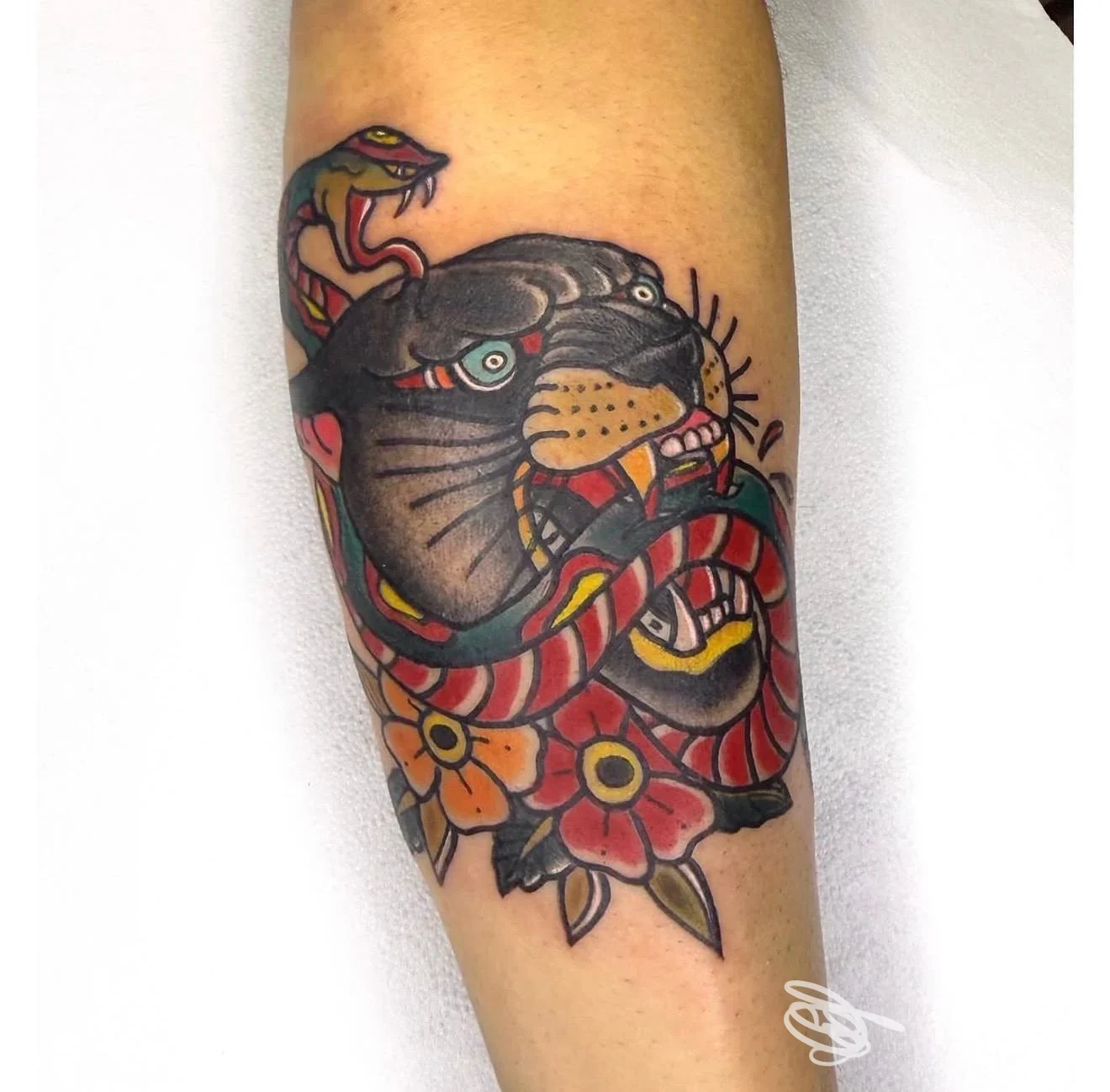 Tatuaggio tradizionale di pantera e serpente sull'avambraccio, Inkredibile Tattoo Studio, Arona.