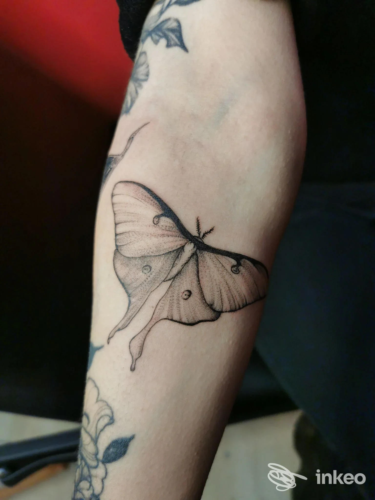 Tatuaggio di una falena in nero sull'avambraccio interno. KINK tattoo studio, Biella.