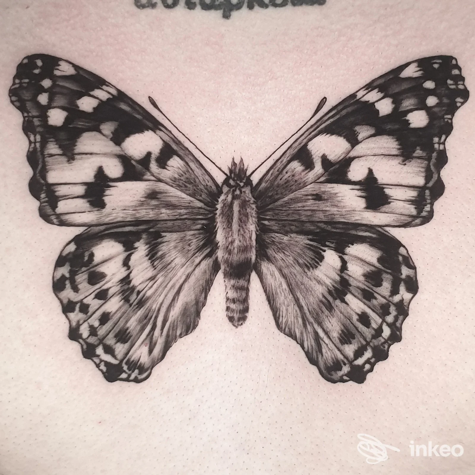 Grande tatuaggio a forma di farfalla in bianco e nero sul petto, fotografia inviata dallo studio La Scimmia Tatuata a Landiona.