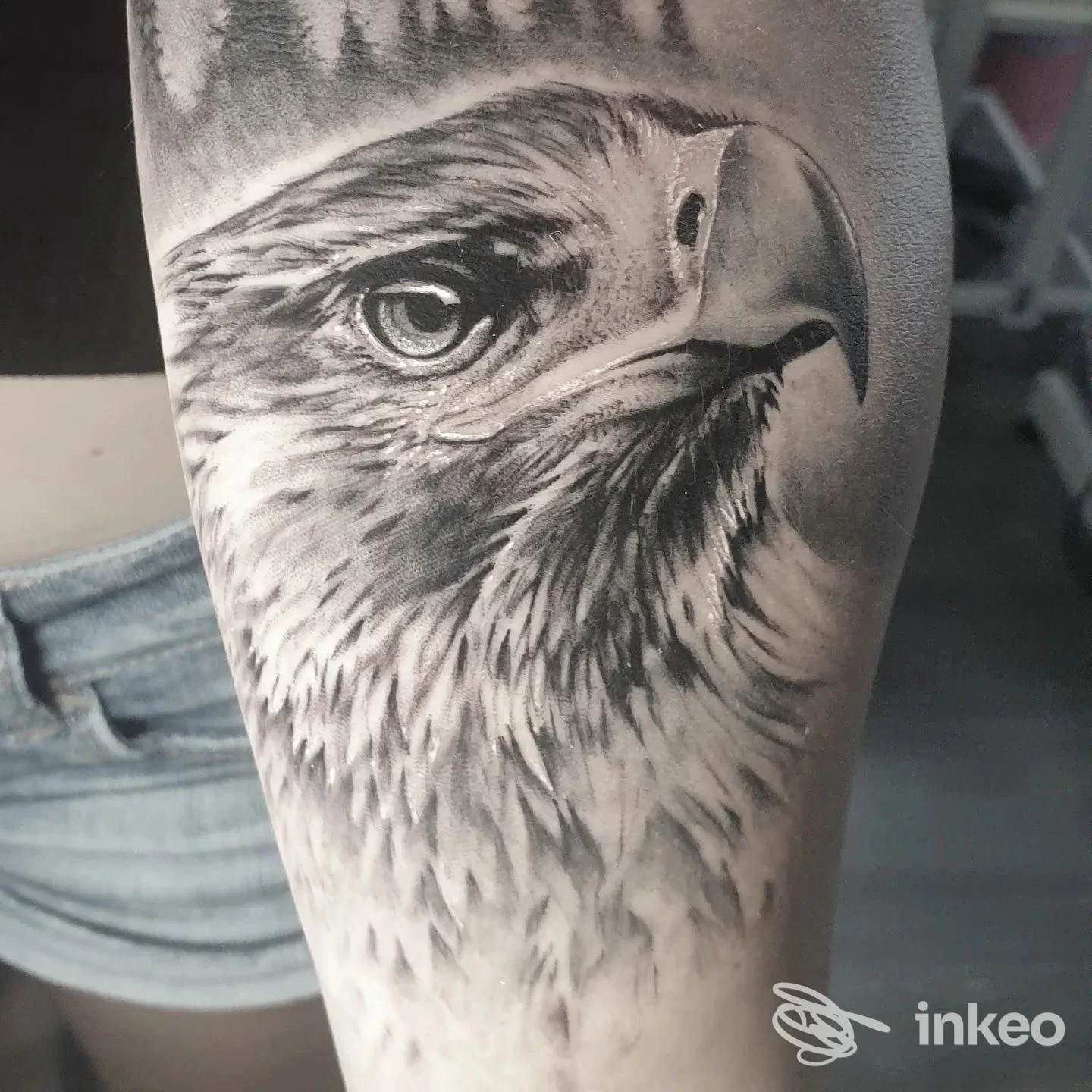 Tatuaggio realistico a tinta nera di una testa d'aquila sull'avambraccio, foto fornita da La Scimmia Tatuata, Landiona.