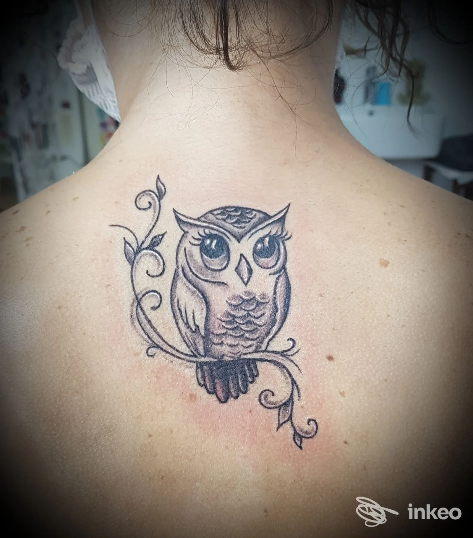 Tatuaggio di un gufo in stile linework e ombreggiato sulla parte alta della schiena. Lady Tattoo, Novara.