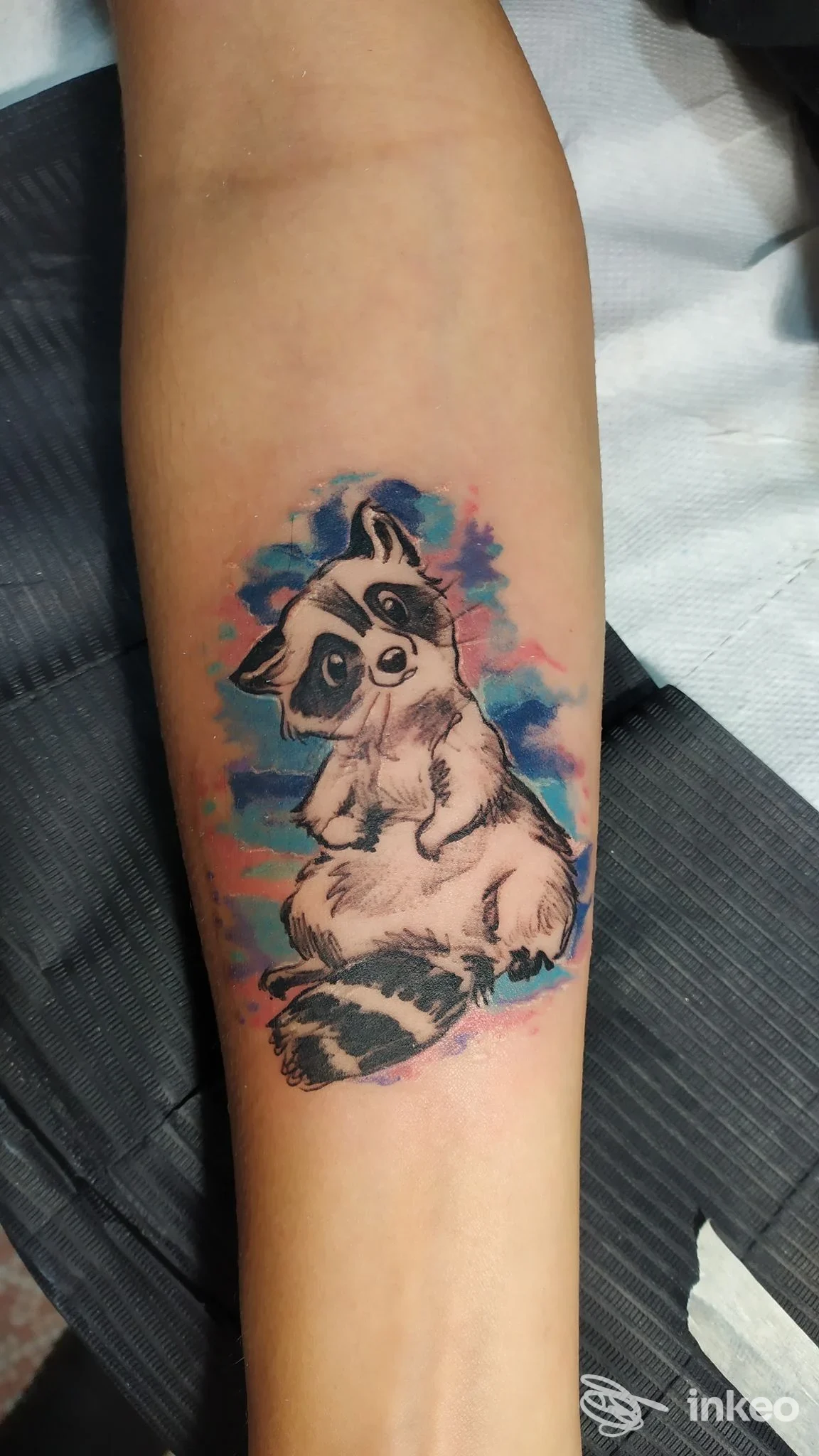 Tatuaggio a colori sul avambraccio raffigurante un procione in stile acquerello, foto fornita da Madison Tattoo Torino, Torino.