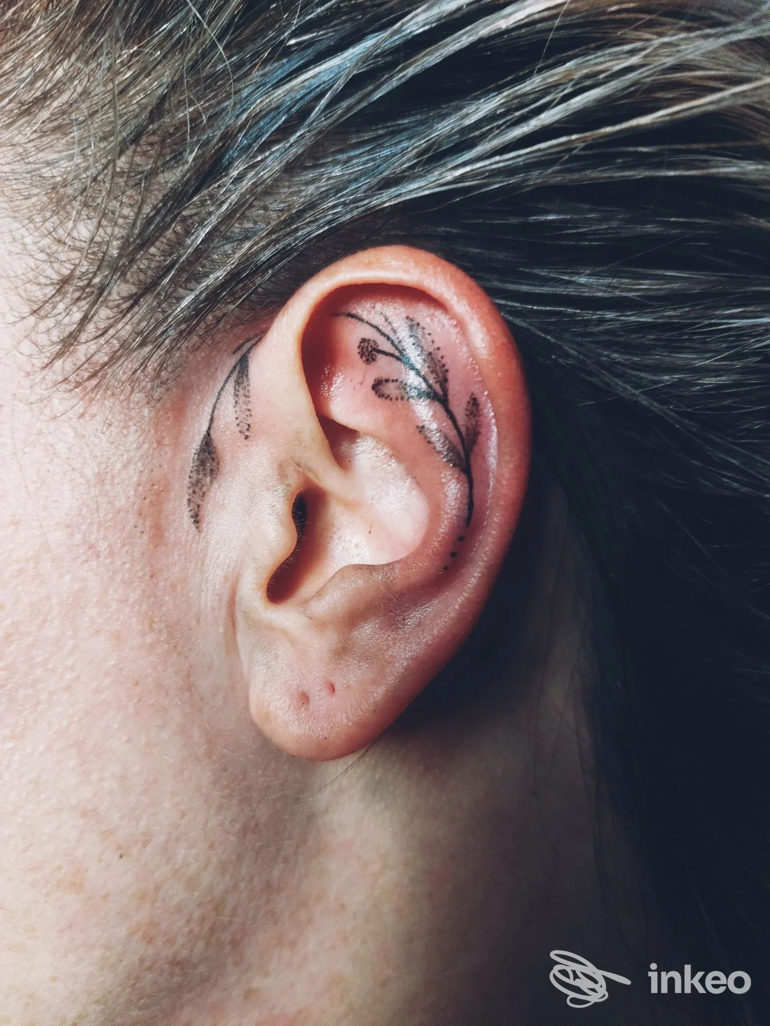 Primo piano di un orecchio tatuato con motivo botanico, foto fornita da Malaleche Tattoo&Piercing, Settimo Torinese.
