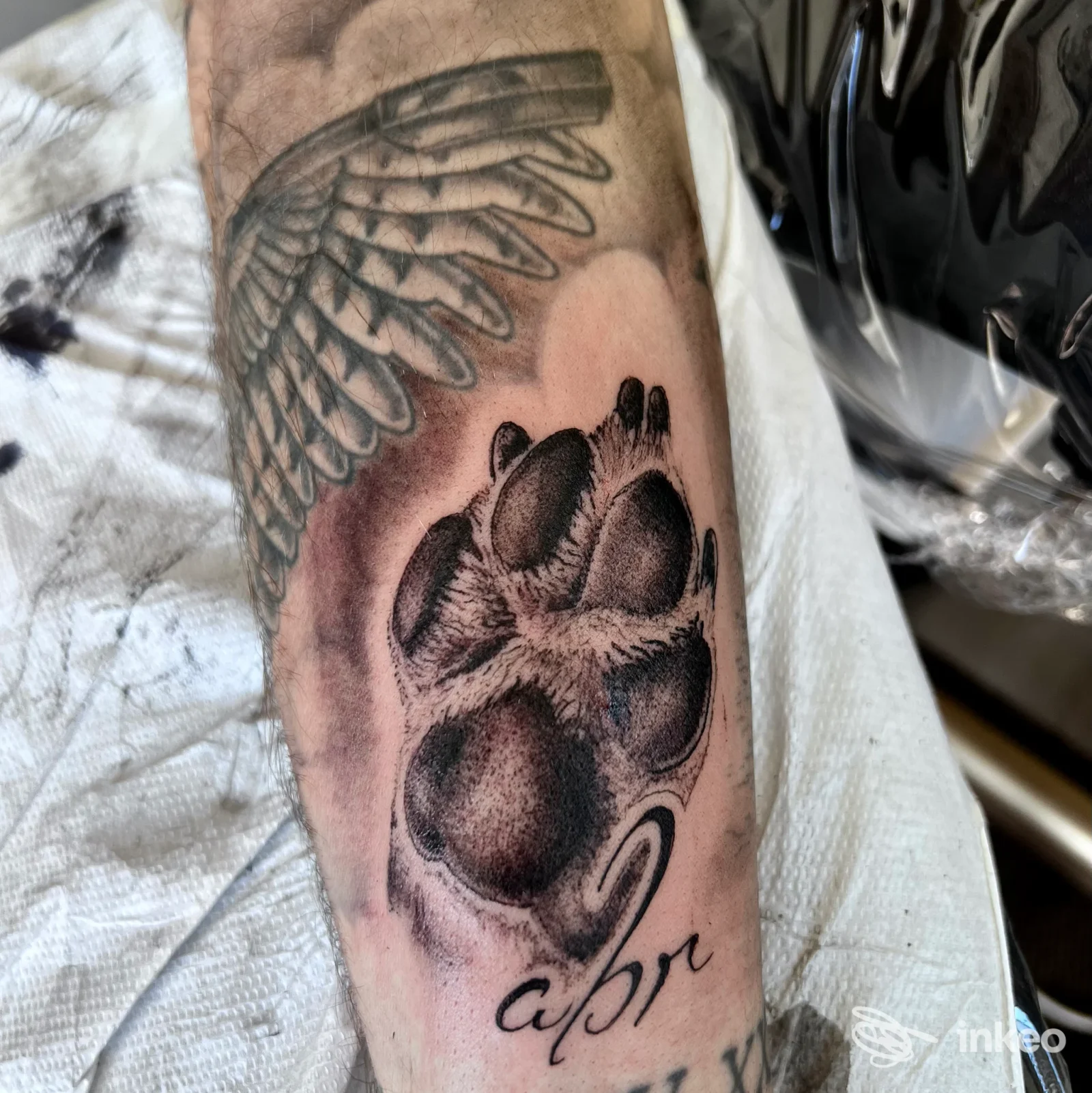 Tatuaggio impronta di zampa con ala sull'avambraccio, Mimetic Tattoo di Nepotismo Luca, Dormelletto.