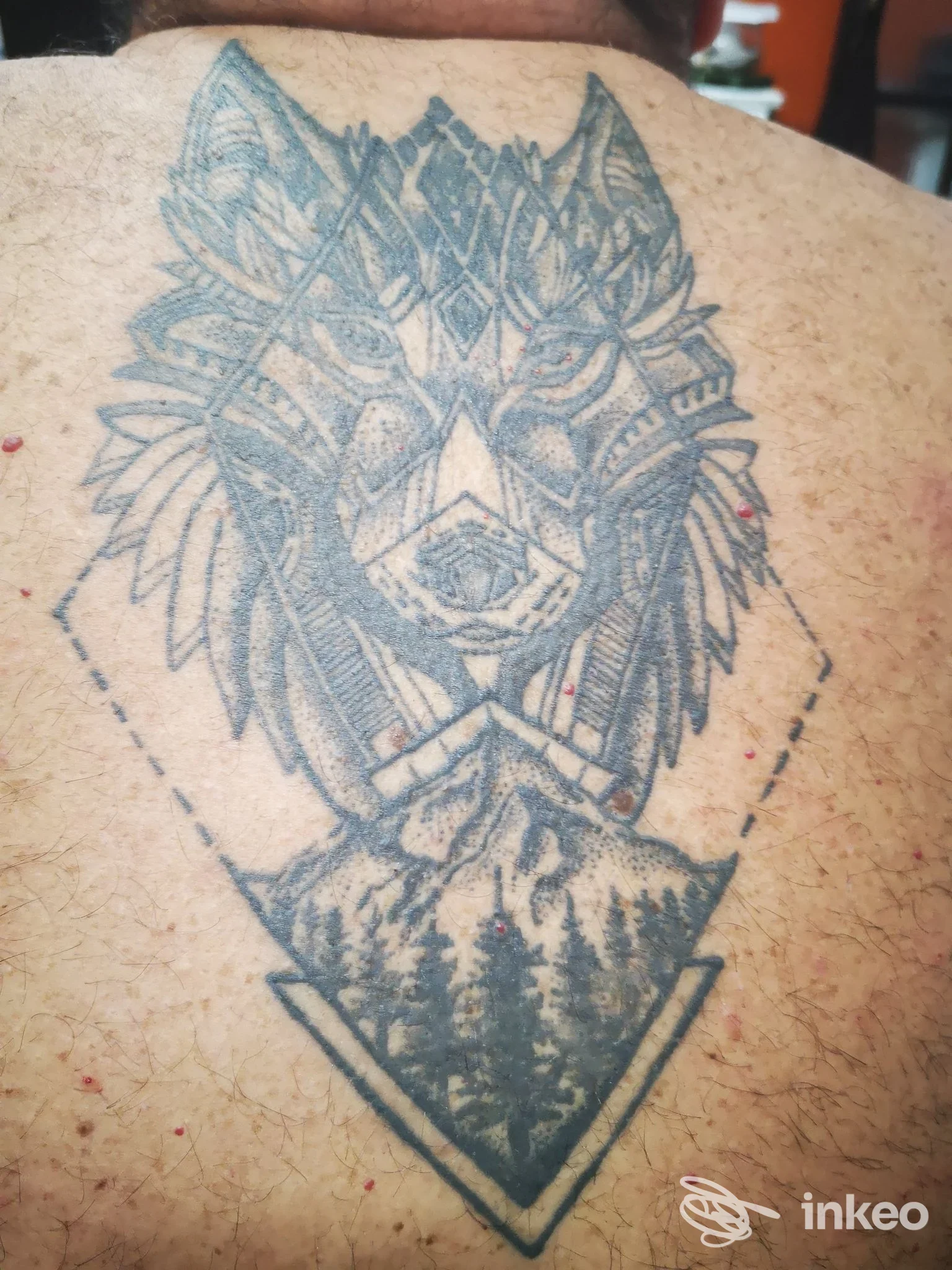 Tatuaggio grande a tema lupo sulla parte superiore della schiena, realizzato da NgL Tattoo a Biella.