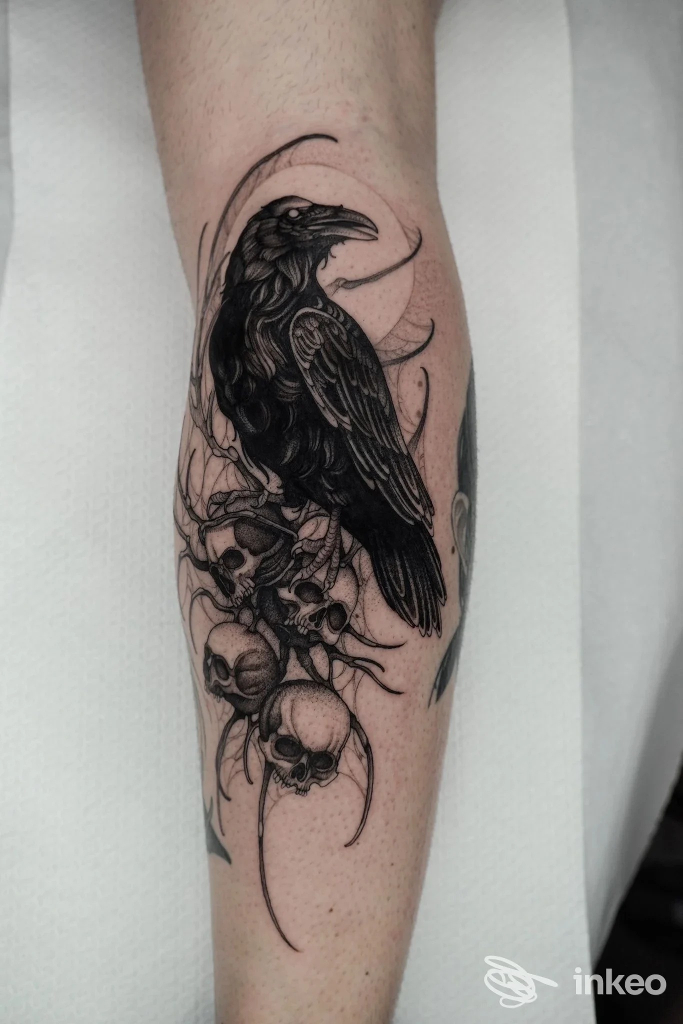 Tatuaggio su avambraccio con corvo e teschi in blackwork, opera mostrata da Oltrenero Studio Tatuaggi, Torino.