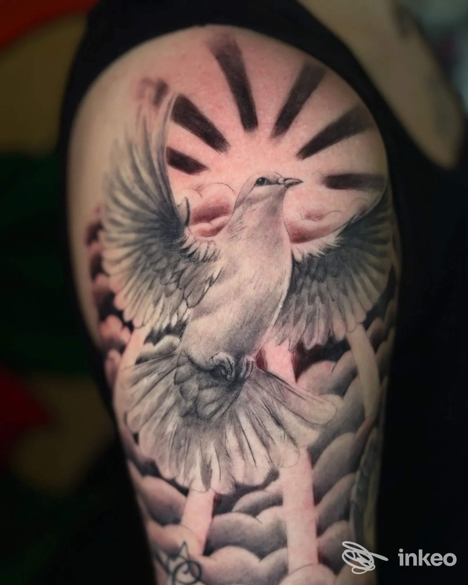 Tatuaggio colomba in stile realistico black & grey sul braccio, PrimusArt Tattoo, Vercelli.