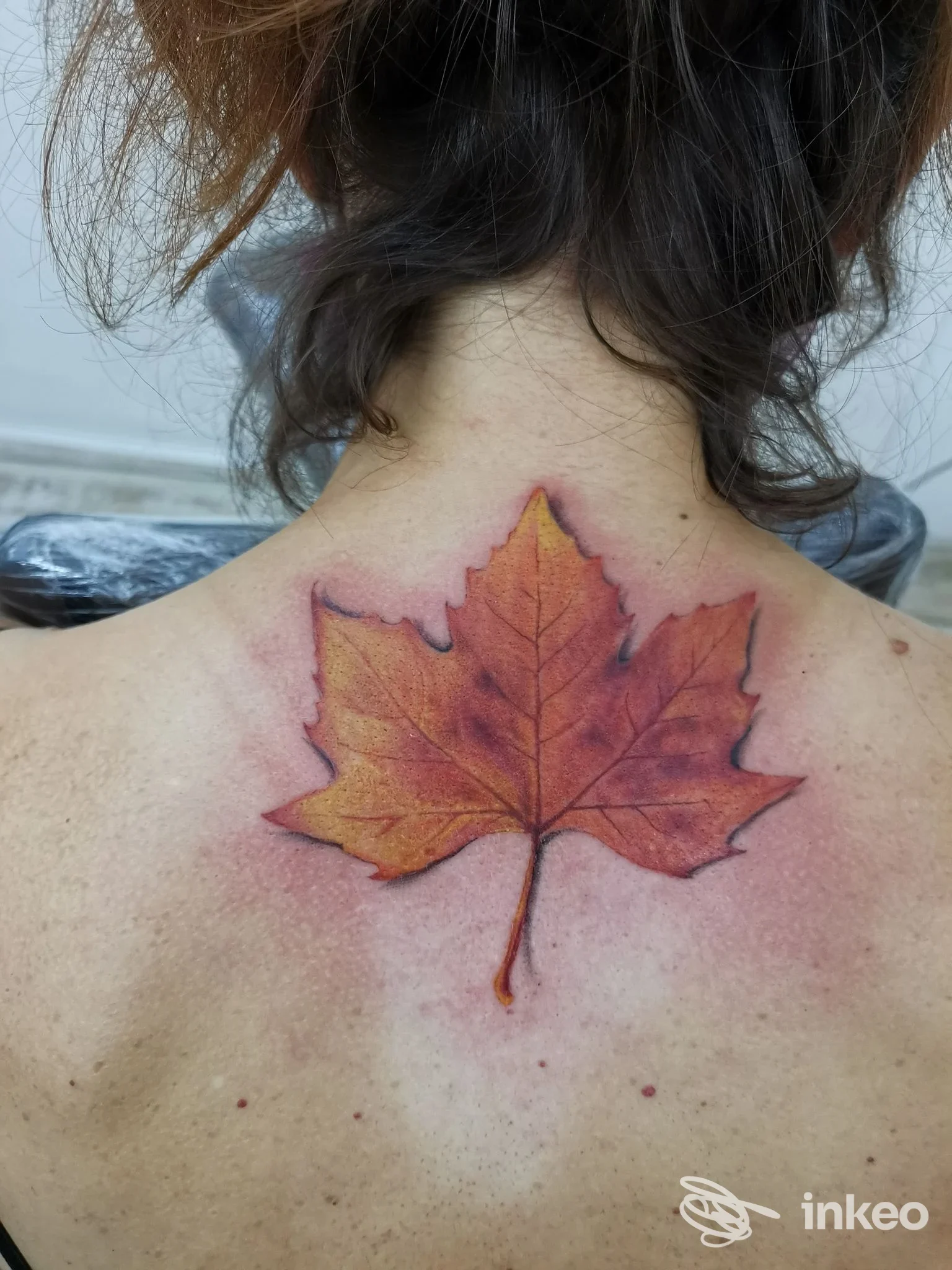 Tatuaggio a forma di foglia d'acero colorata sul collo/alta schiena, REITATTOO BODY EXPRESSION TATTOO STUDIO, Ghemme.