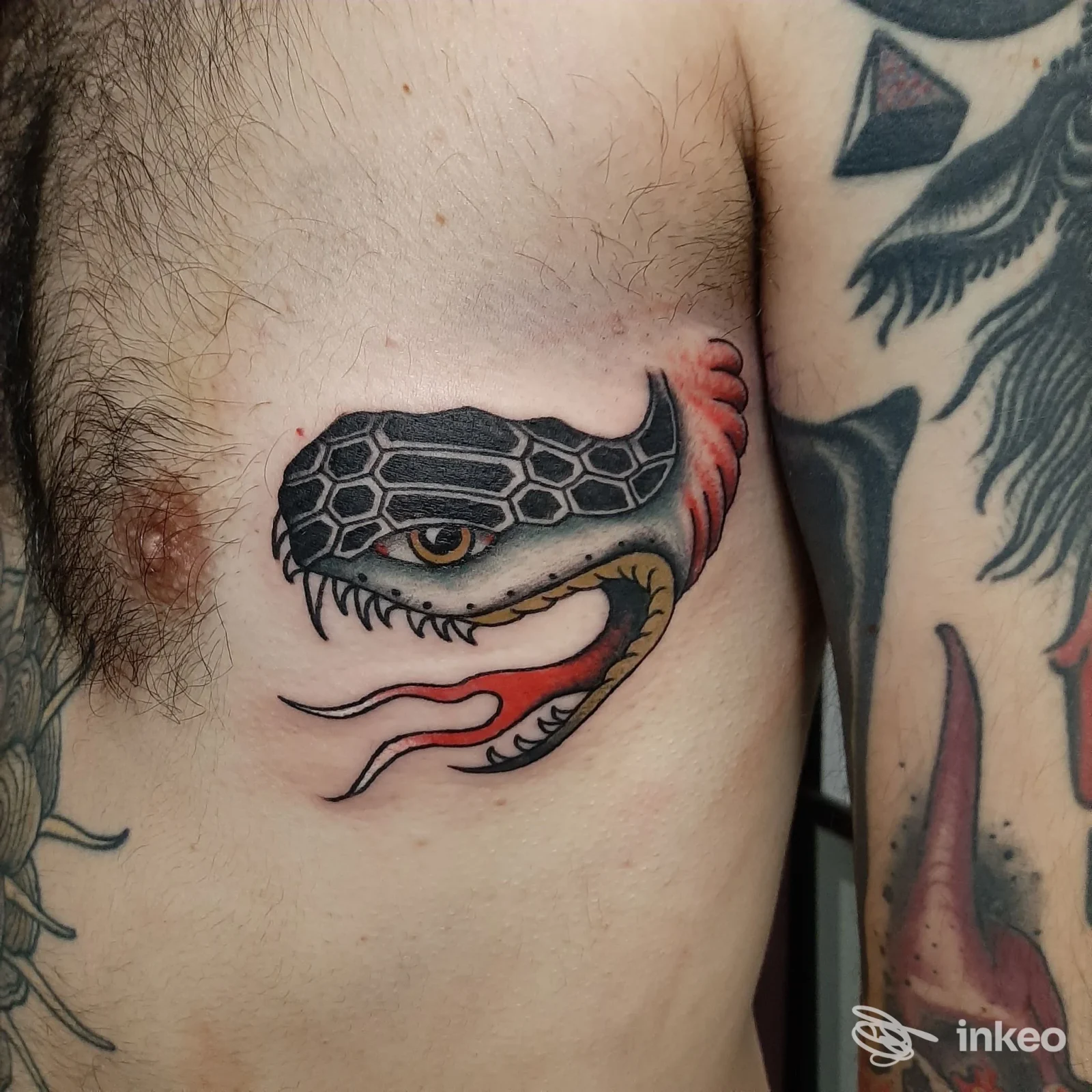 Tatuaggio a colori di una testa di serpente sul torace/fianco, immagine fornita da Ramble On Tattoo Parlour, Torino.