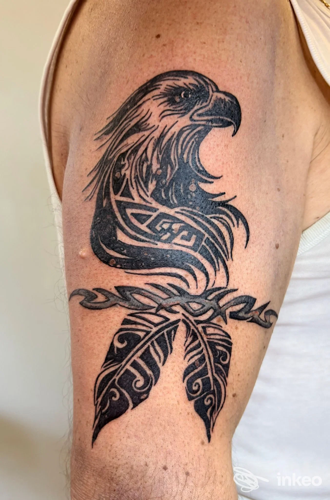 Tatuaggio tribale/ornamentale a inchiostro nero con testa d'aquila sull'alto braccio, foto inviata per Ritual Tattoo di Ilaria Fachechi, Torino.