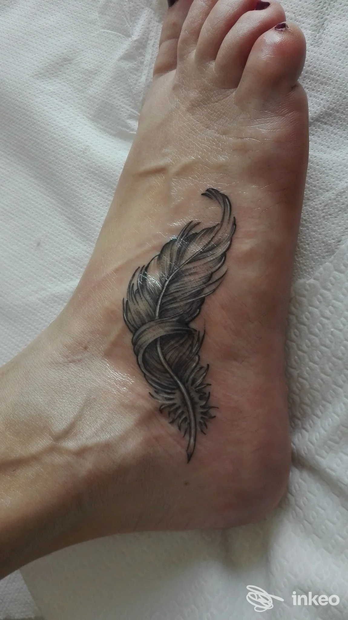 Tatuaggio a piuma in nero e grigio sul dorso del piede, fotografia inviata da S.M.ART Tattoo Studio, Biella.