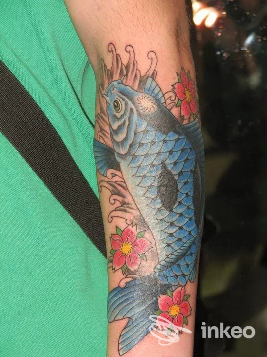 Avambraccio tatuato con grande carpa koi blu e fiori rosa, fotografia portfolio di Scarlet Skull Studio Tattoo a Moncalieri.