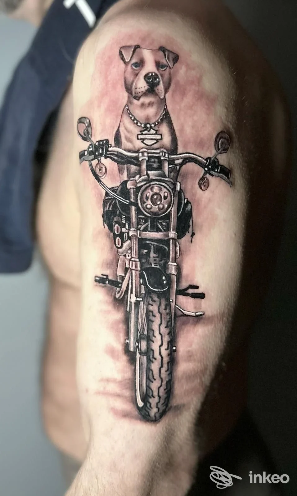 Tatuaggio su braccio: cane seduto su una motocicletta, realizzato da Skull & Fox Tattoo Studio a Biella.