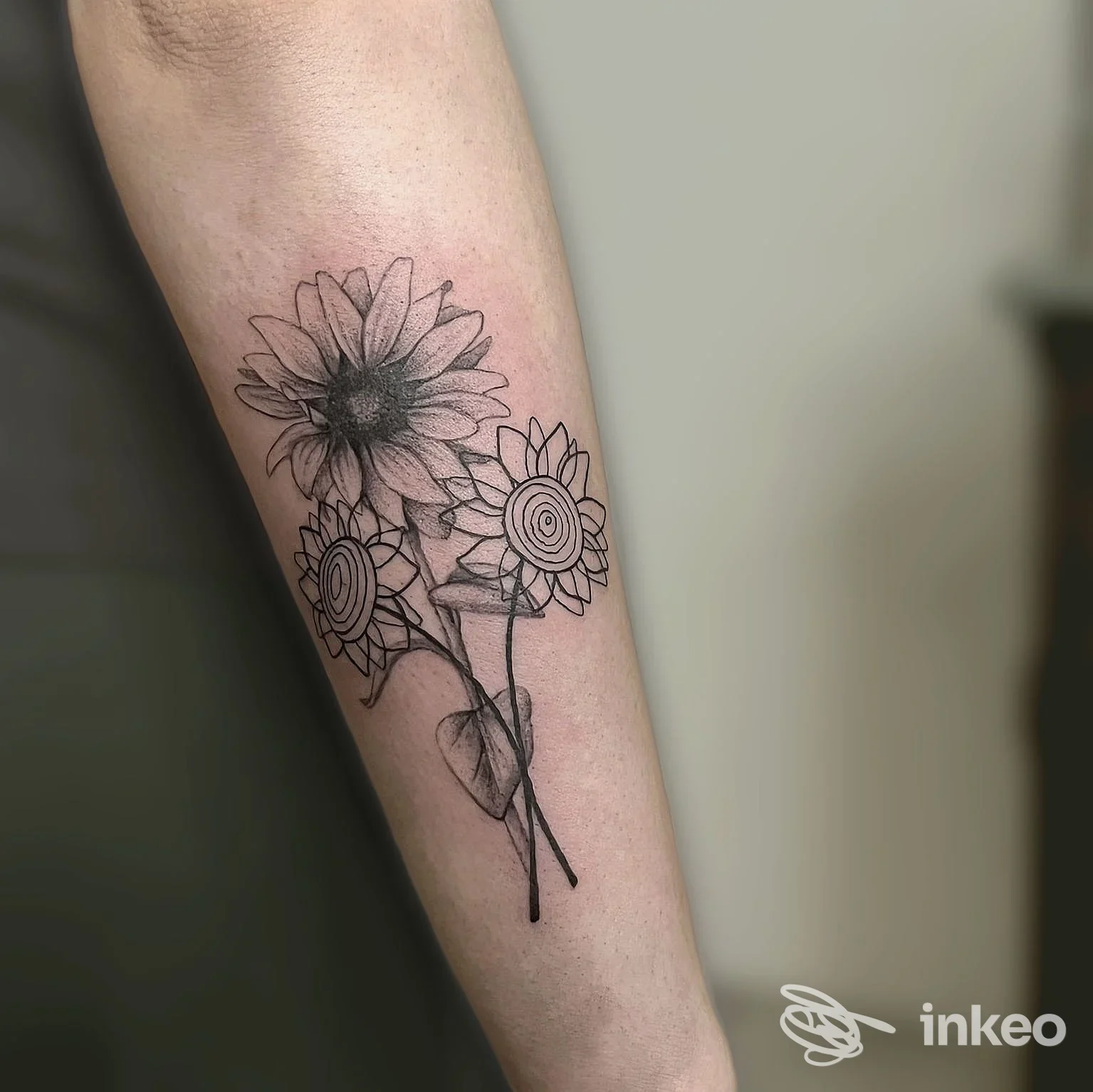 Tatuaggio a inchiostro nero e sfumature grigie di tre girasoli sull'avambraccio, foto fornita da Salvia Tattoo a Vigone.